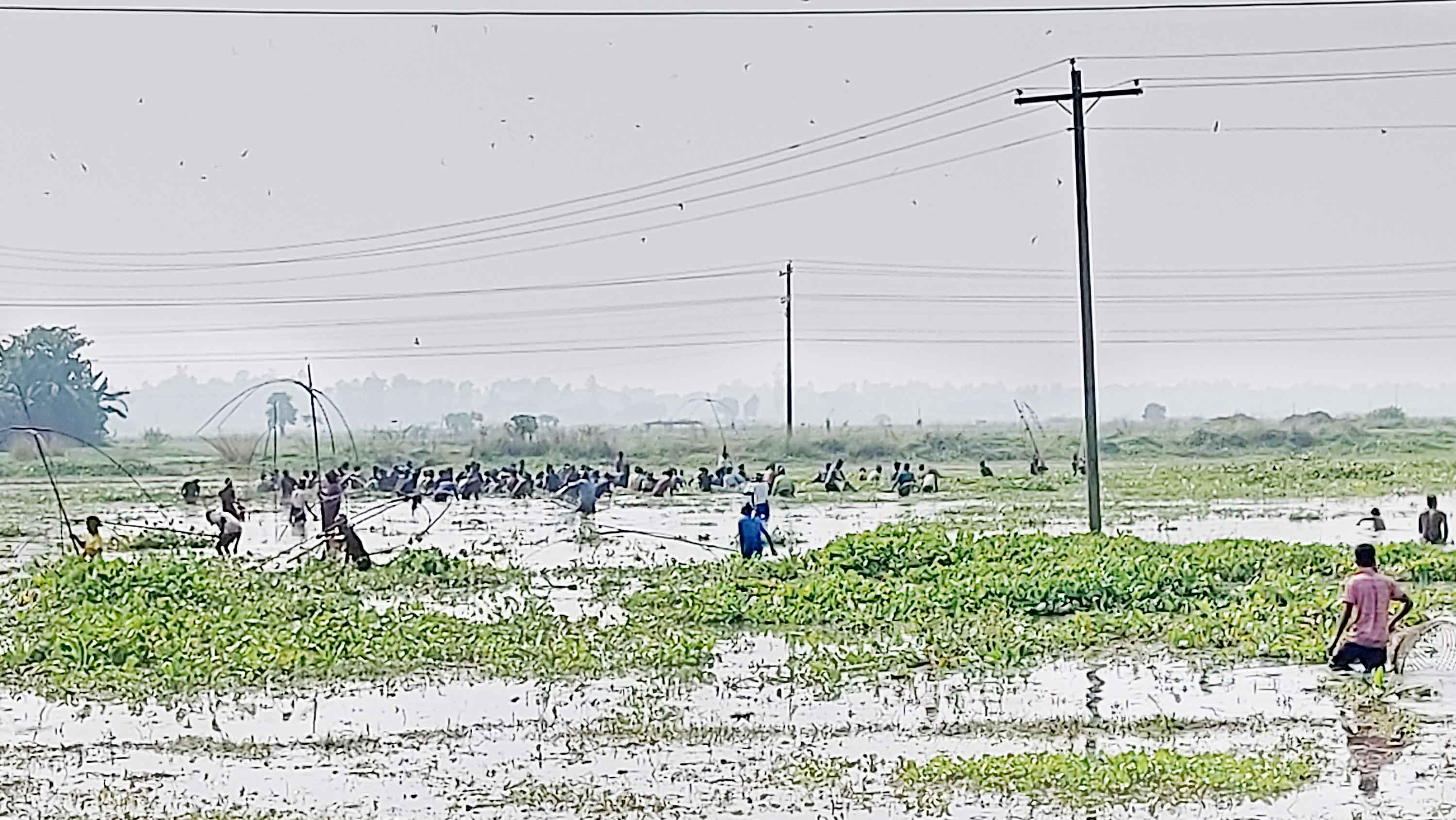 হরিরামপুরে পলো ও জাল দিয়ে মাছ ধরার উৎসব