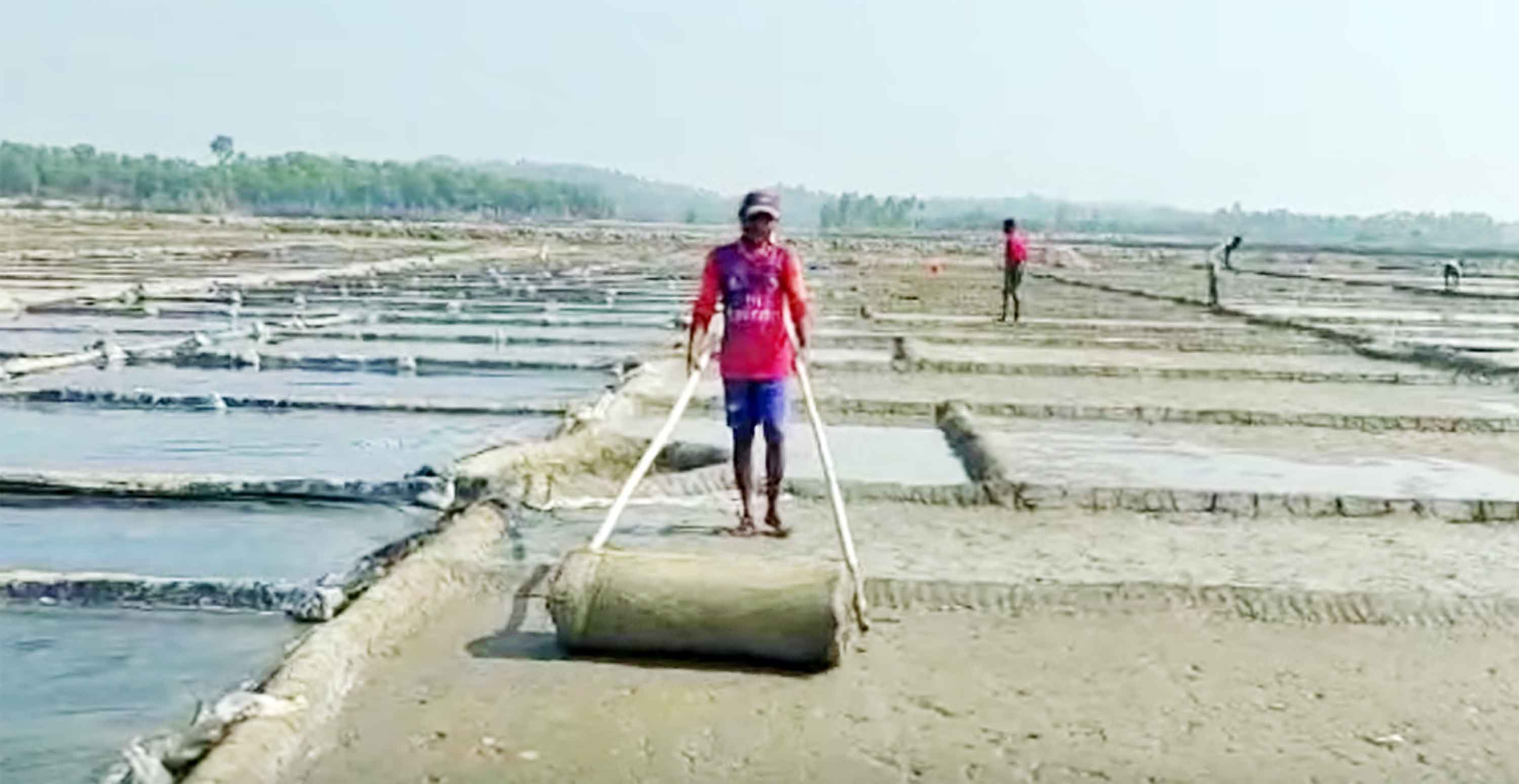 লবণ উৎপাদনে মাঠে কক্সবাজারের চাষিরা
