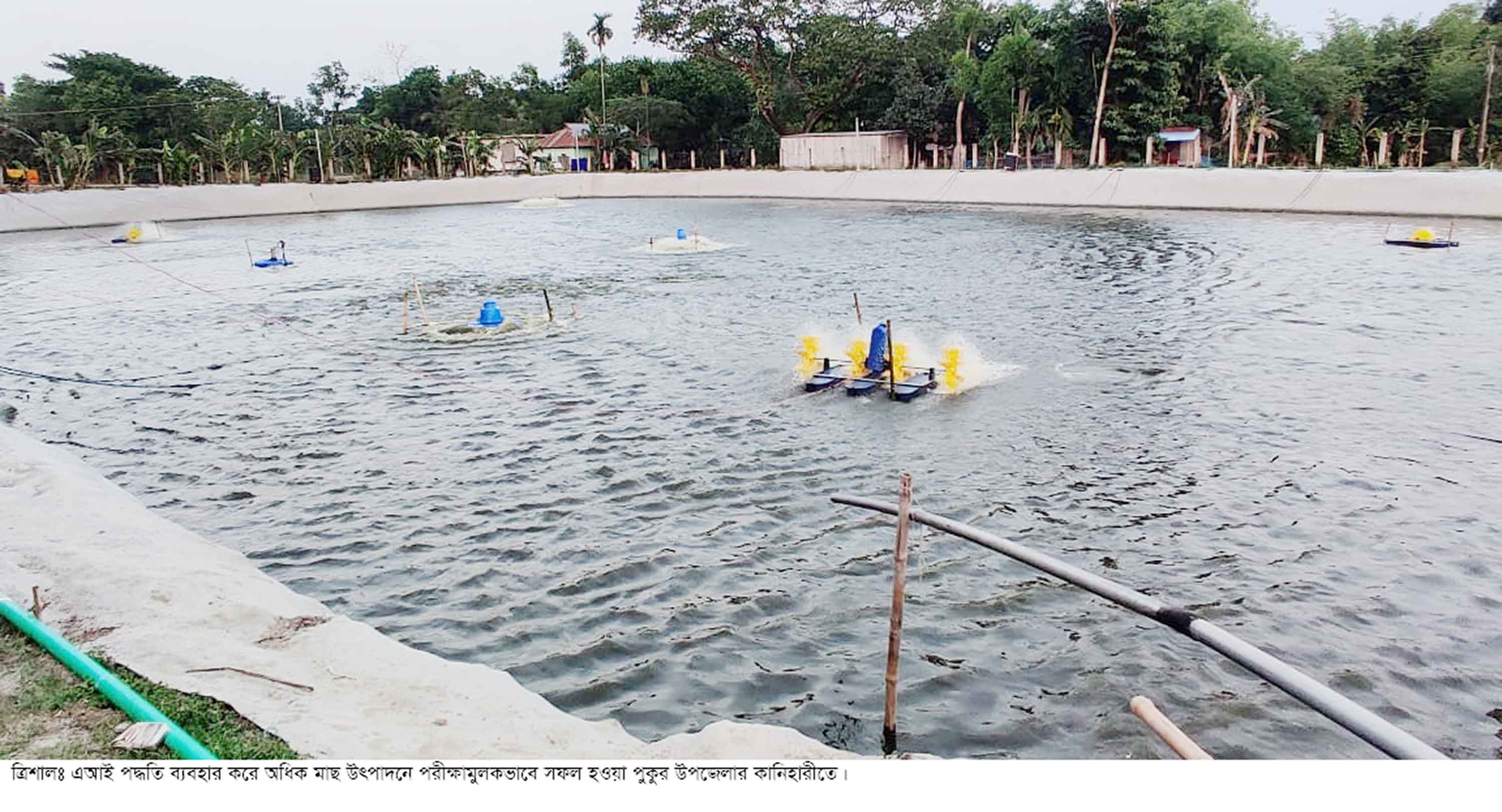এআই পদ্ধতিতে মাছ উৎপাদনে সফলতা