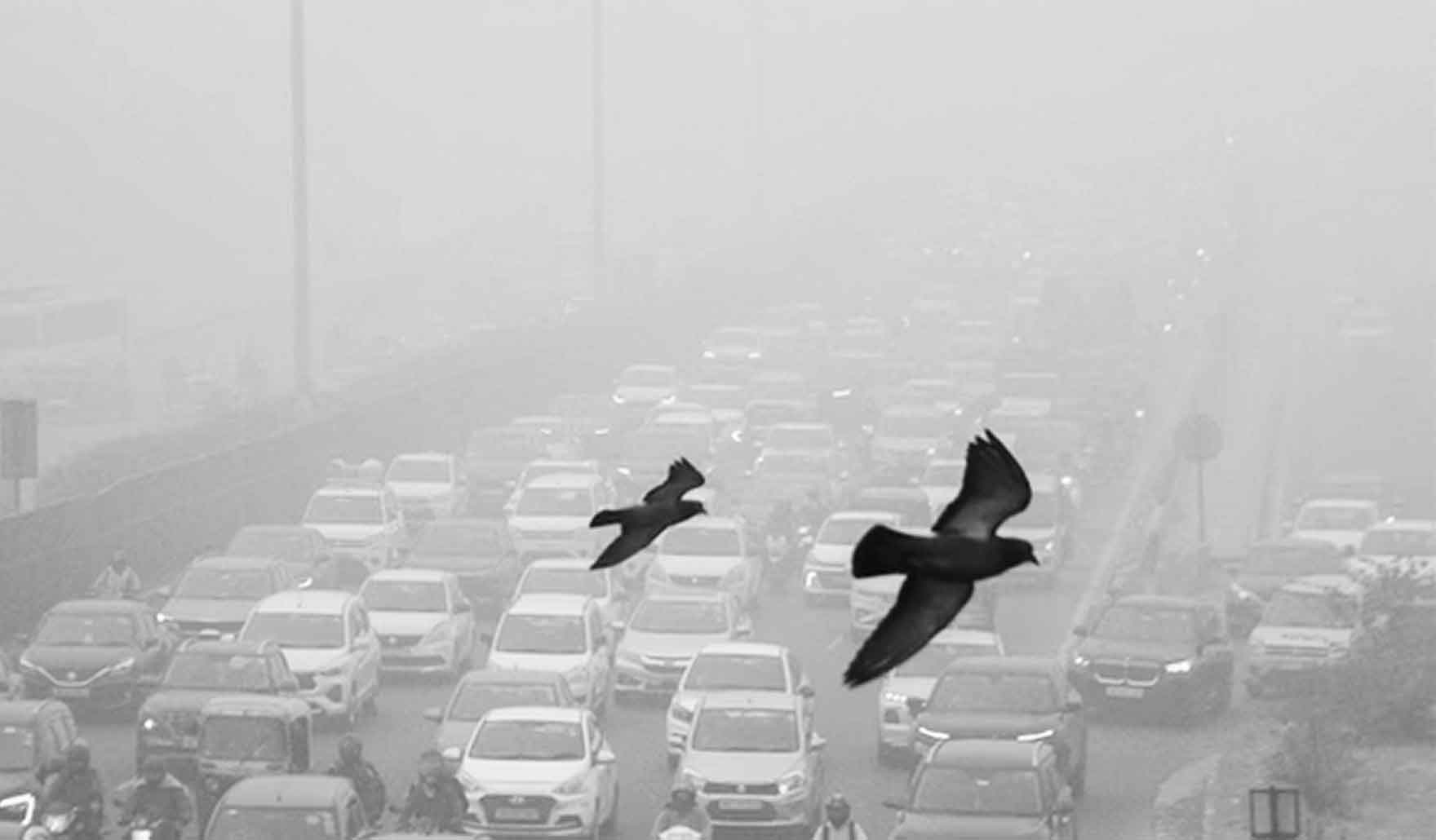 দিলিস্নতে দূষণ আরও বাড়ল দুর্ঘটনায় নিহত দুই