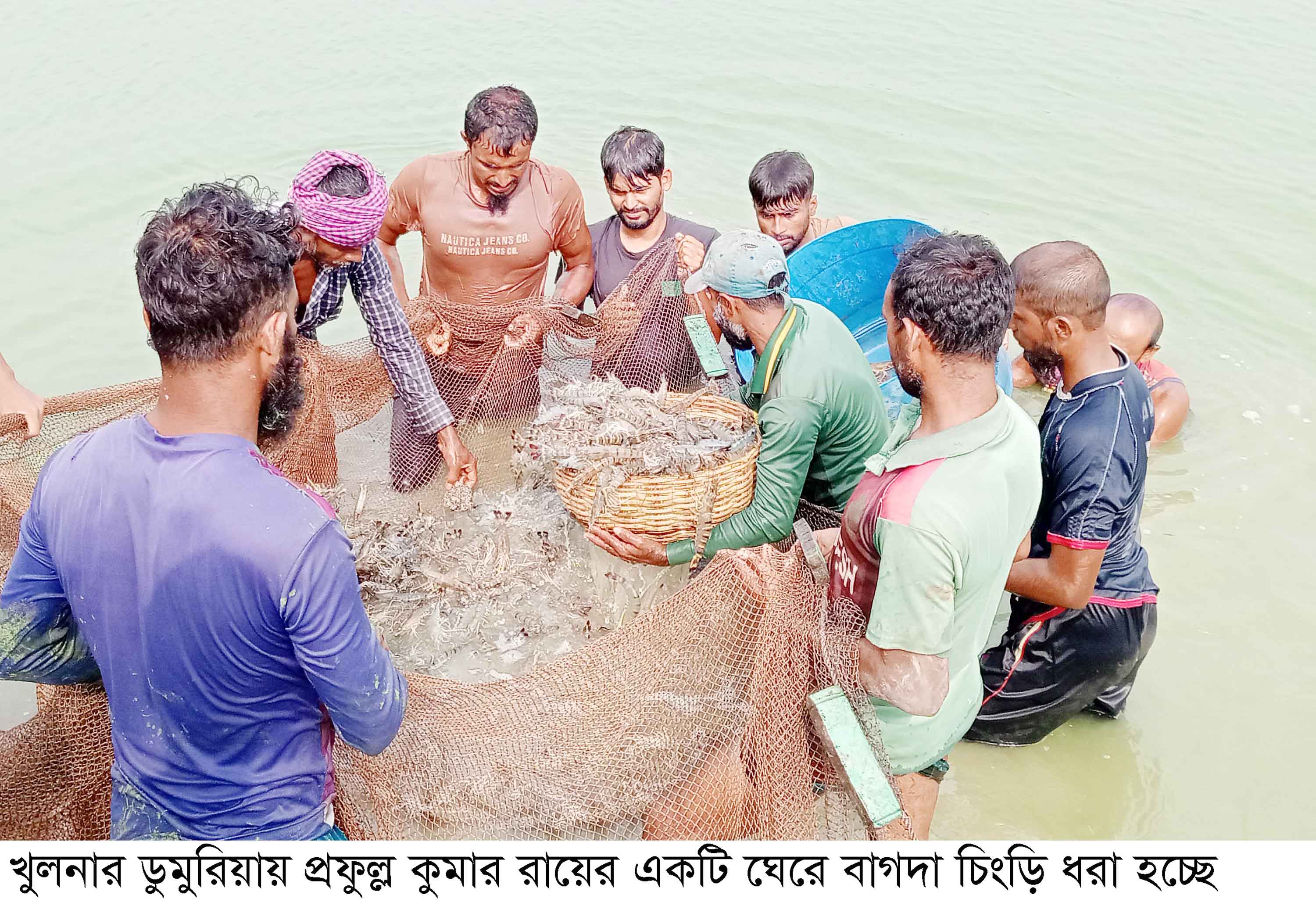 ভেজাল রেণু ও তীব্র তাপদাহে ডুমুরিয়ায় বাগদা চাষ ব্যাহত