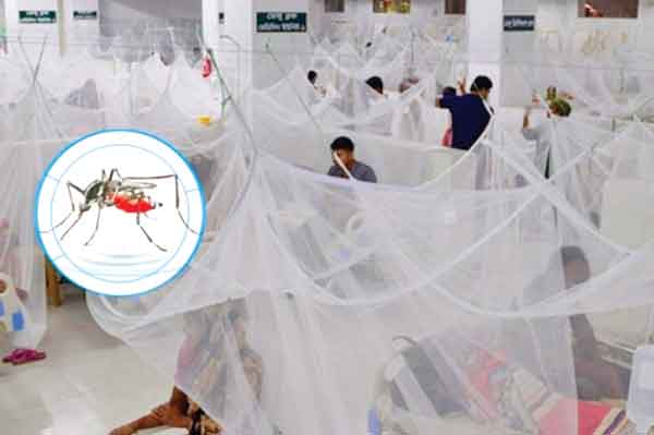 ডেঙ্গু কেড়ে নিল আরও ৫ প্রাণ, ভর্তি ১০৩৪