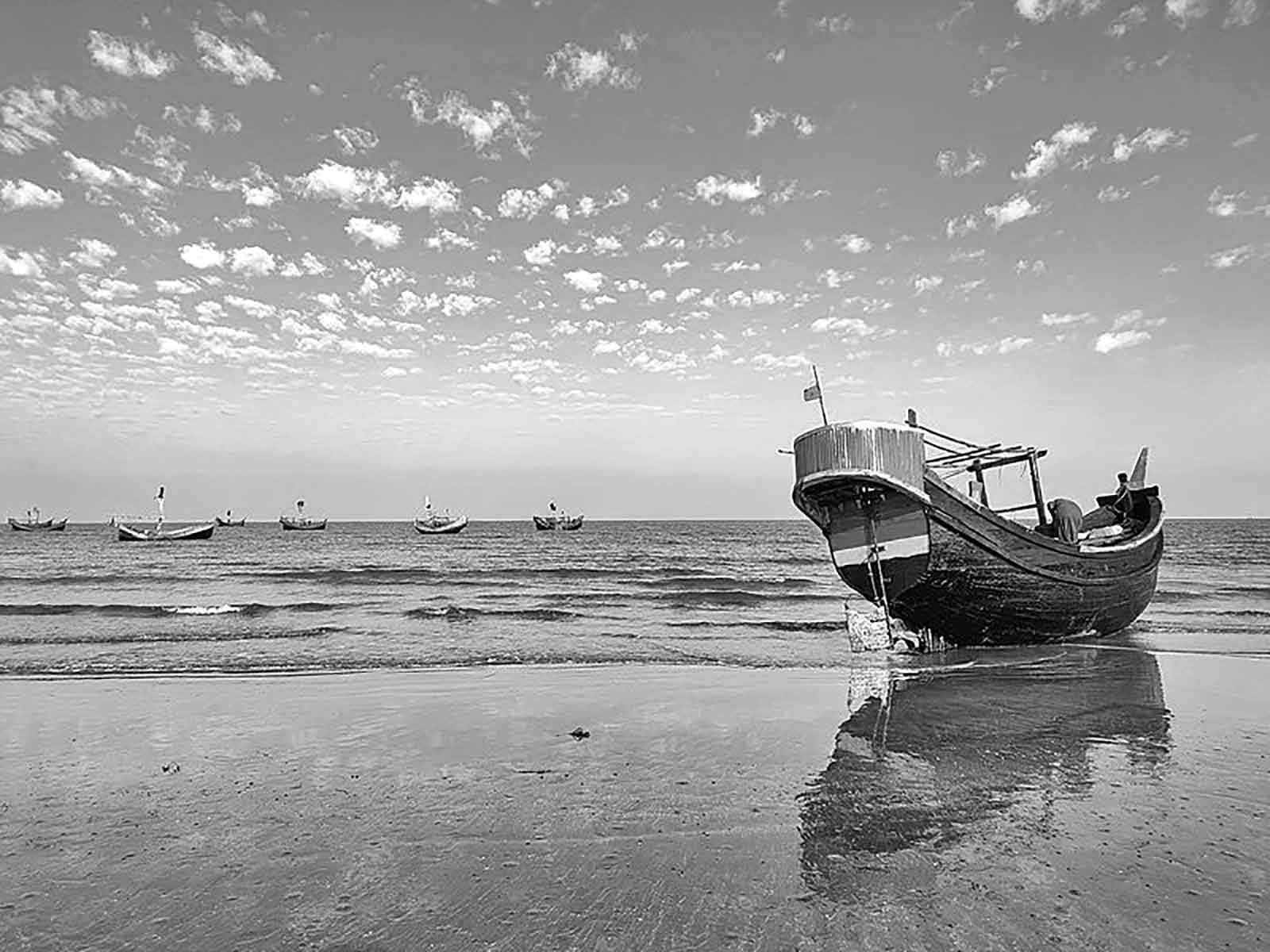 জানার আছে অনেক কিছু