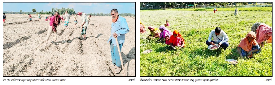 নন্দীগ্রাম ও ডোমারে ব্যবসায়ীদের তৈরি সংকটে জিম্মি কৃষক