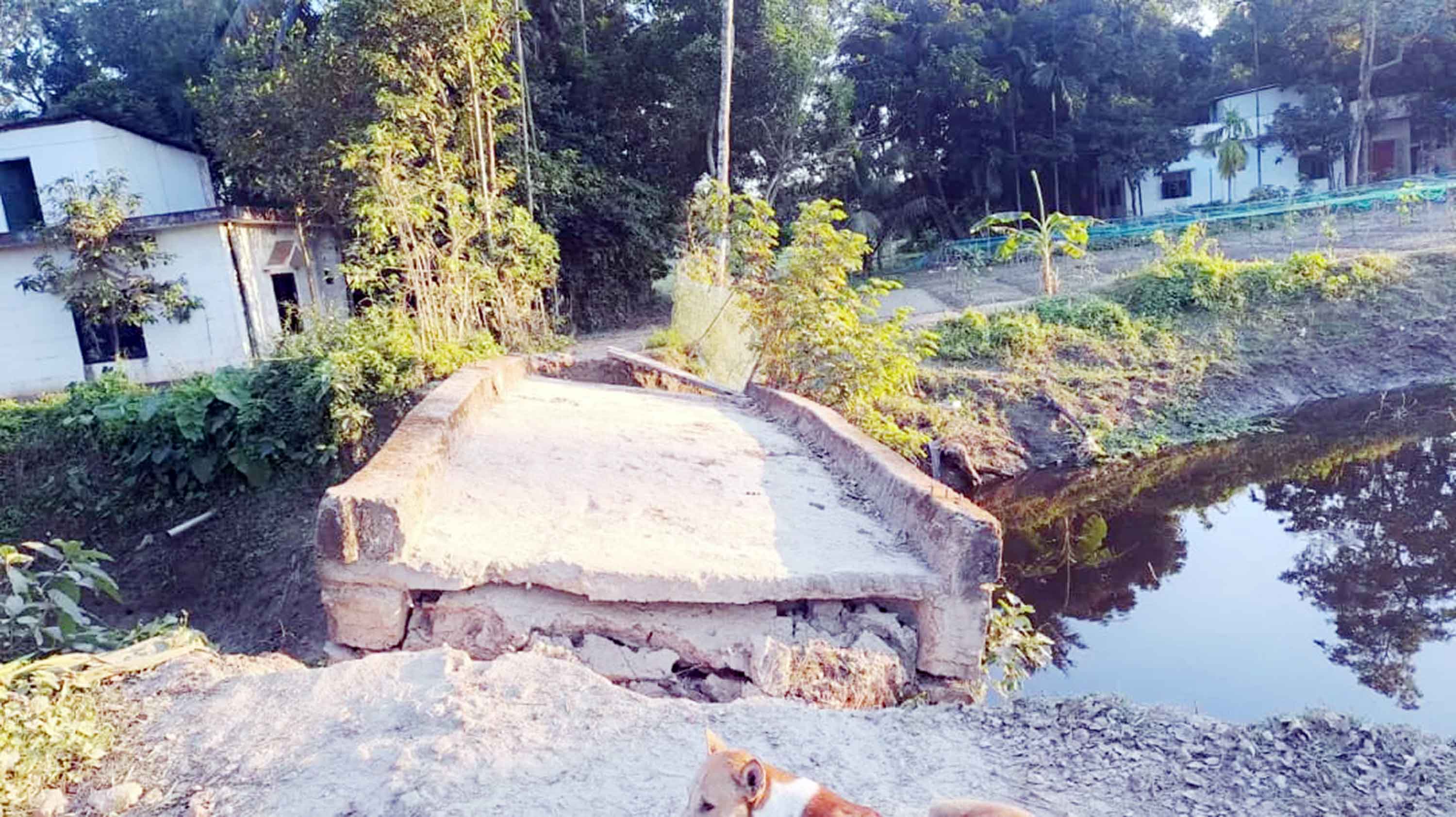 নাঙ্গলকোটে সেতু ও সংলগ্ন সড়ক ভেঙে যোগাযোগ বিচ্ছিন্ন