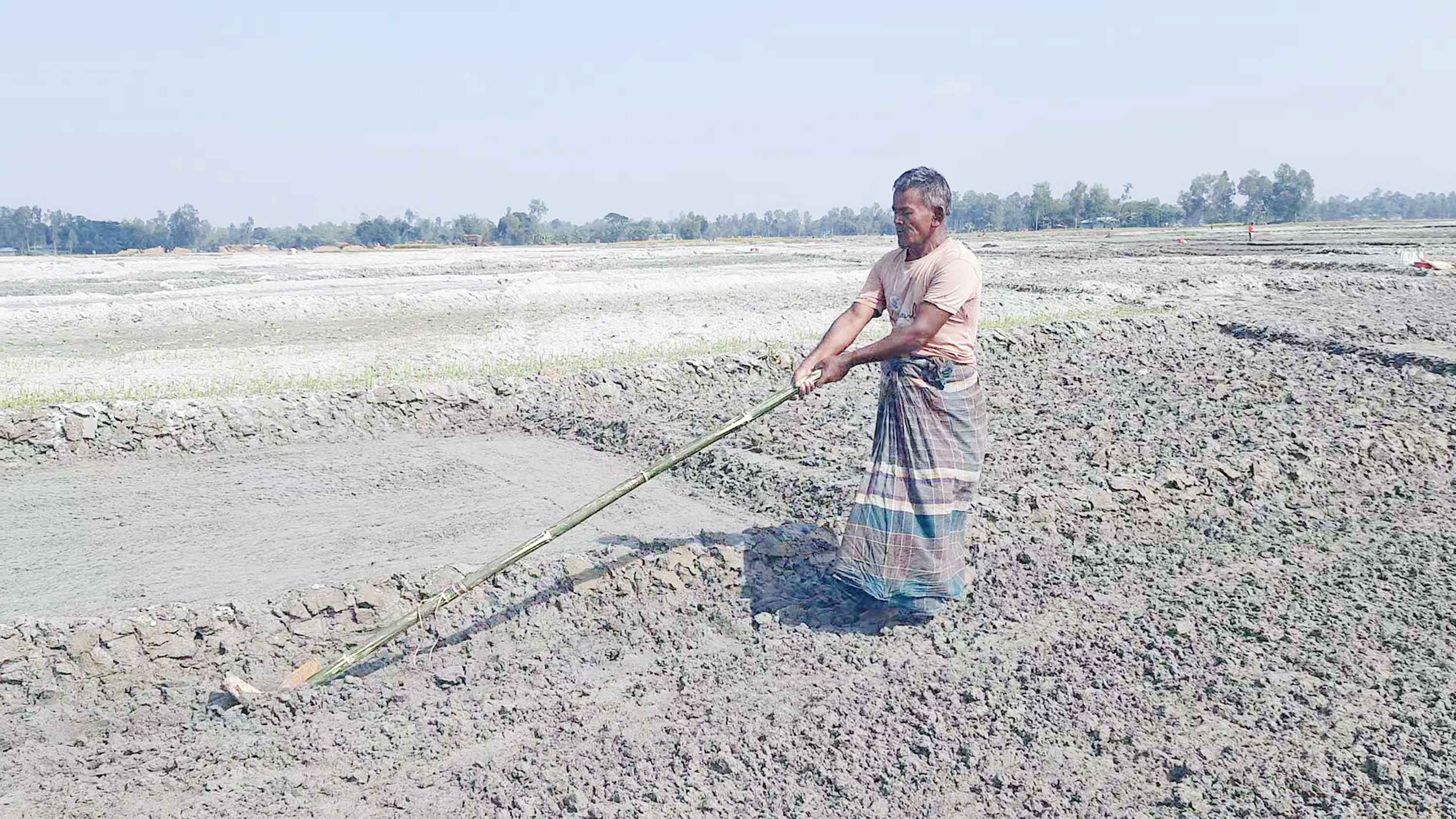 তিস্তার বালুচরে চাষাবাদ :দিনবদলের স্বপ্ন দেখছেন লাখো কৃষক