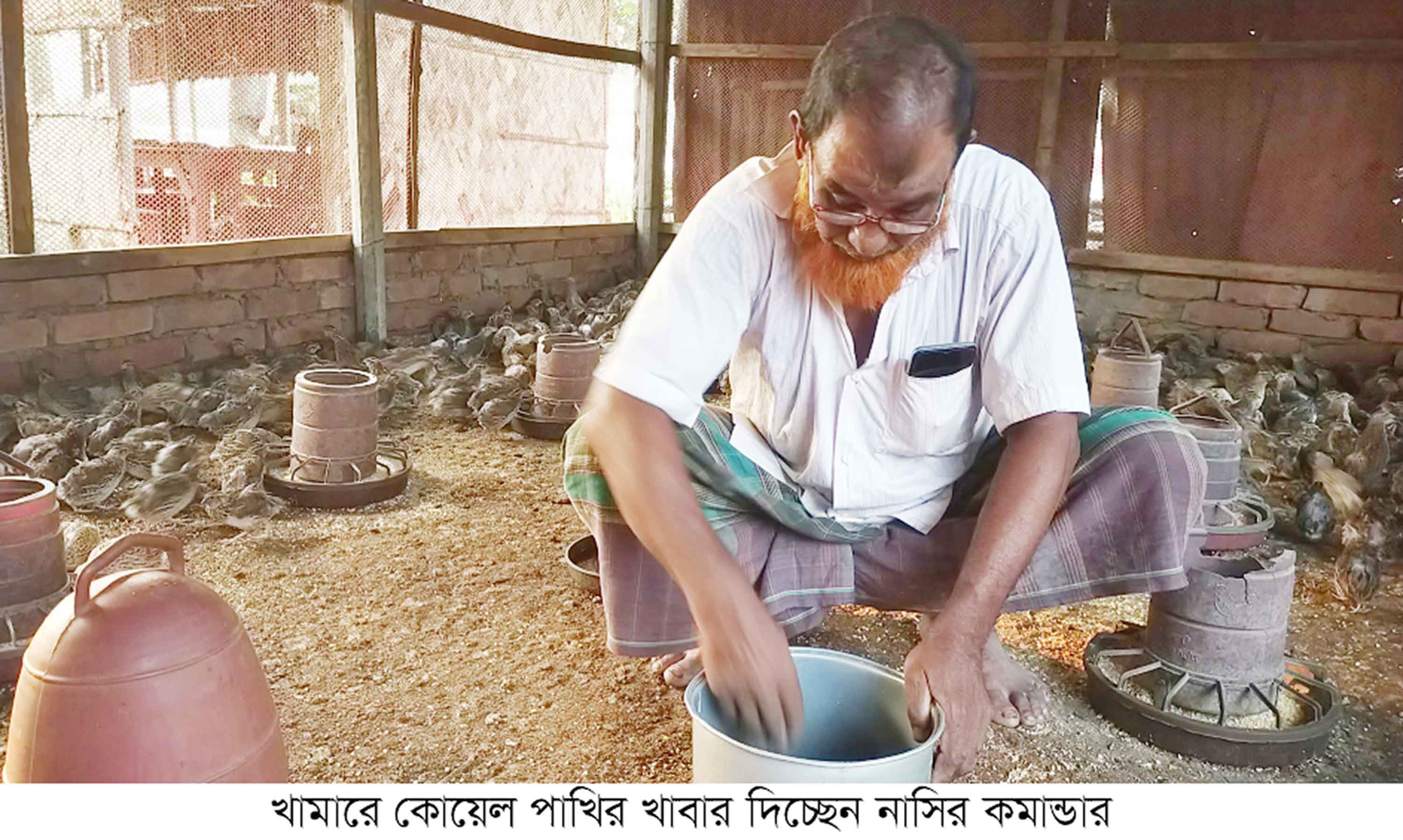 গাংনীতে উদ্যোক্তা সৃষ্টিতে অনুপ্রেরণা জোগাচ্ছে কোয়েল পালন