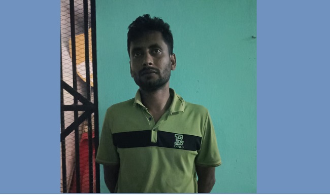 নেছারাবাদে ইয়াবাসহ গ্রেফতার ২