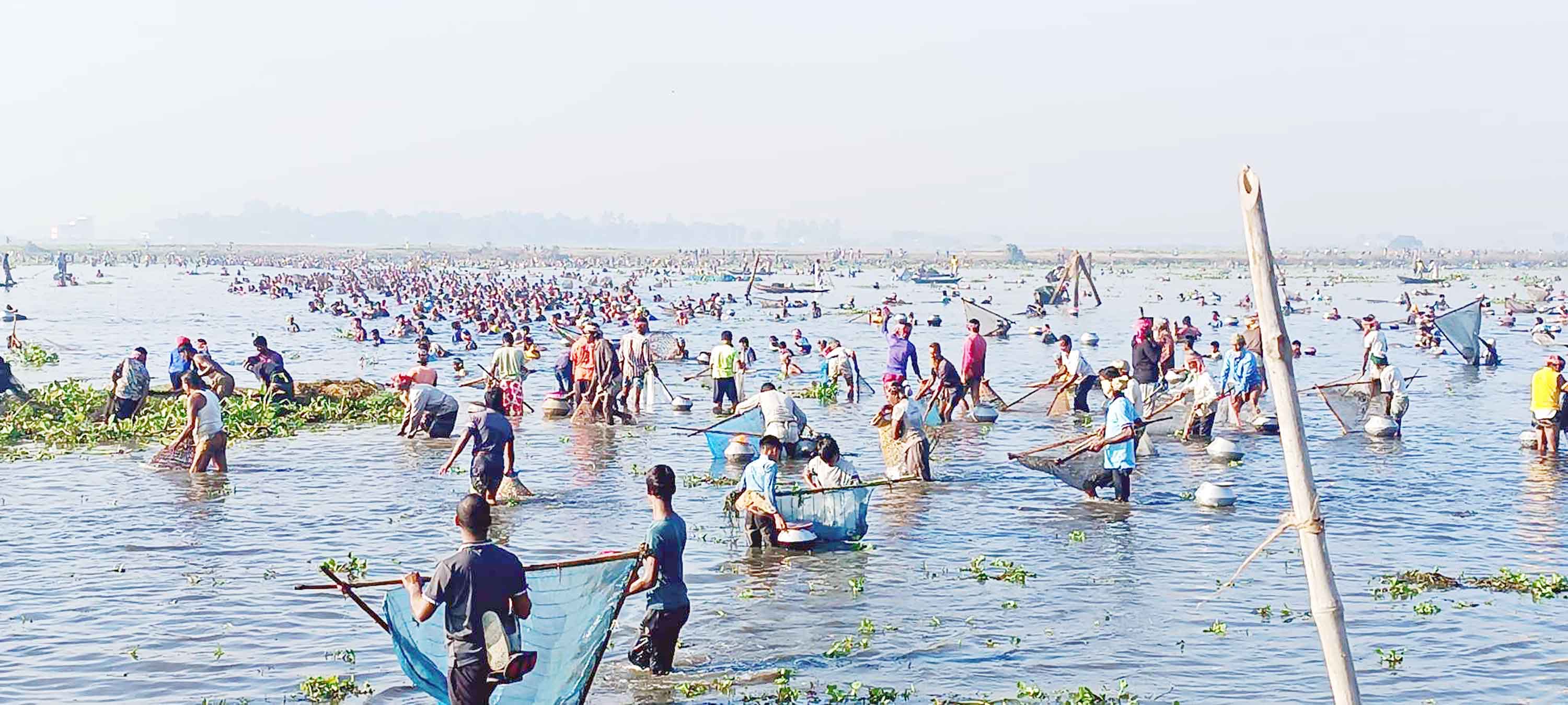 ভাঙ্গুড়ায় বাউৎ উৎসবে মেতেছে শৌখিন মাছ শিকারিরা