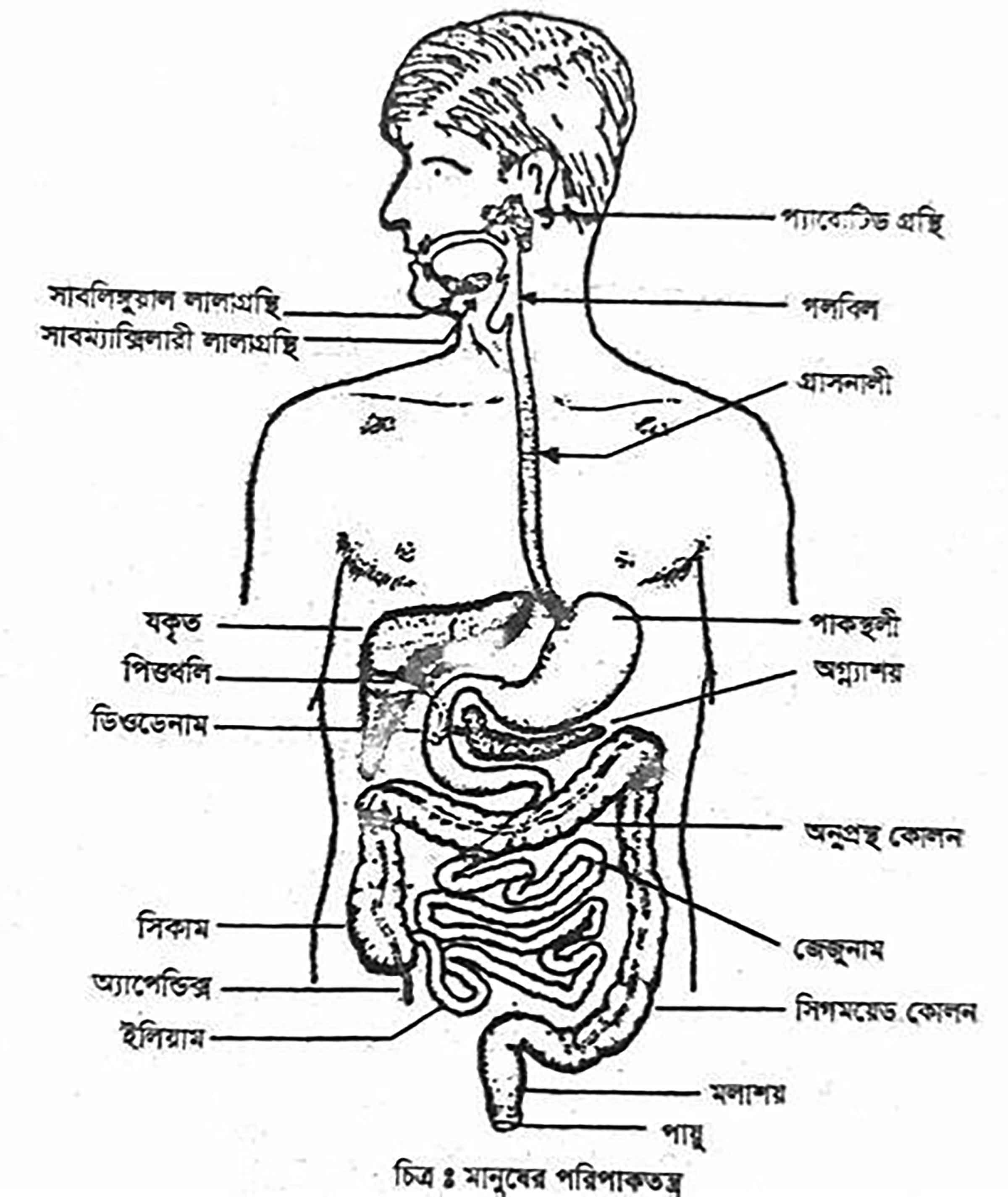 ষষ্ঠ শ্রেণির বিজ্ঞান অনুসন্ধানী