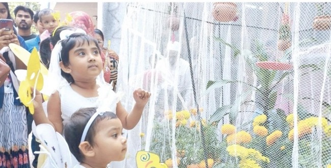 জাবিতে প্রজাপতি মেলা শুক্রবার