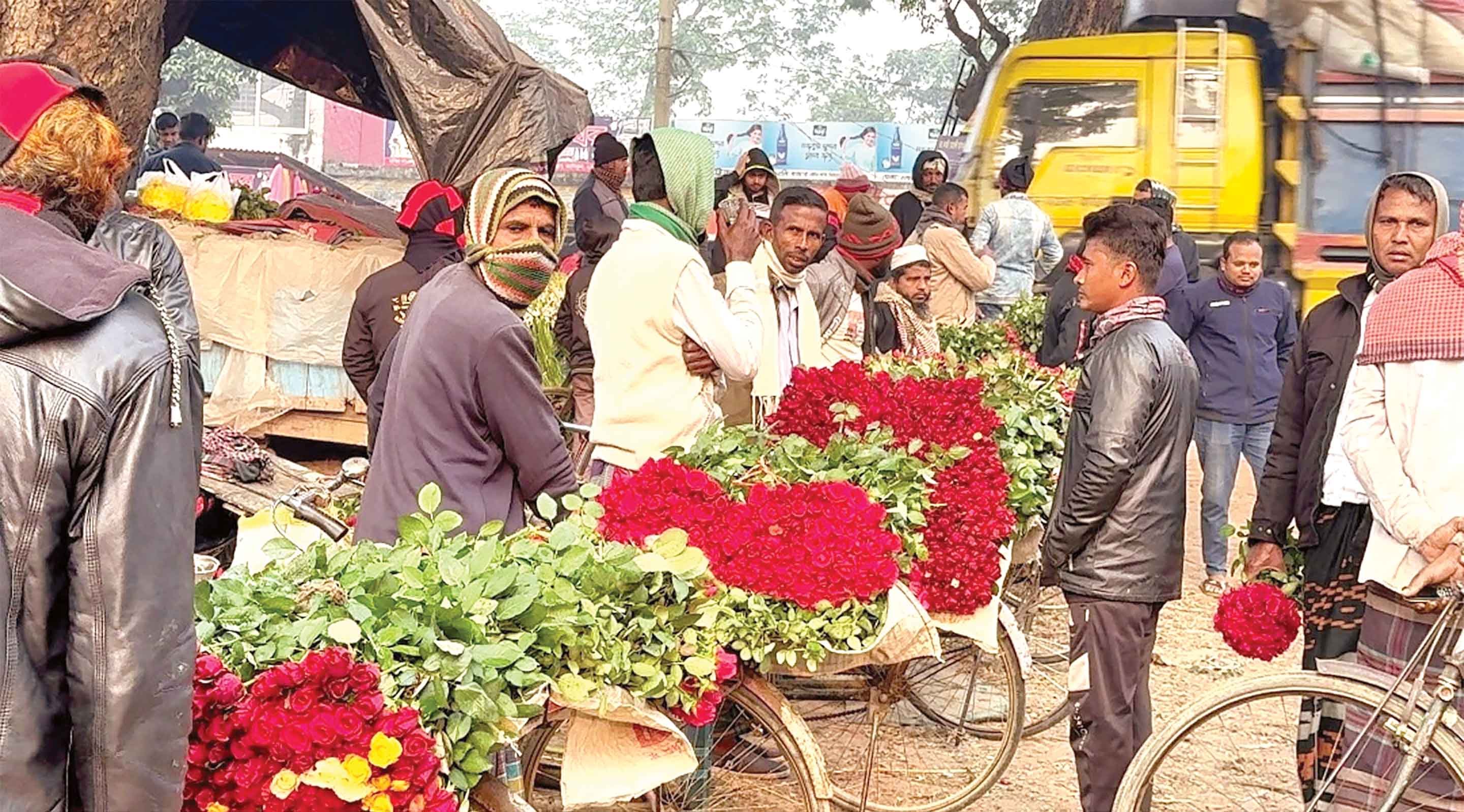 যশোরের গদখালীতে শত কোটি টাকার ফুল বিক্রির প্রস্তুতি