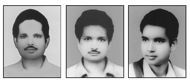মুক্তিযোদ্ধা সহোদর তিন ভাইয়ের ৫৩তম শাহাদাত বার্ষিকী আজ