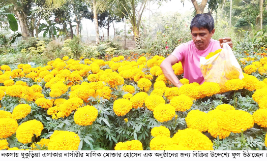 ফুল ও ফলের নার্সারিতে ভাগ্য বদল, বছরে সঞ্চয় লাখ টাকা