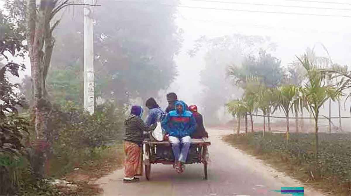 উত্তরাঞ্চলে জেঁকে বসেছে শীত