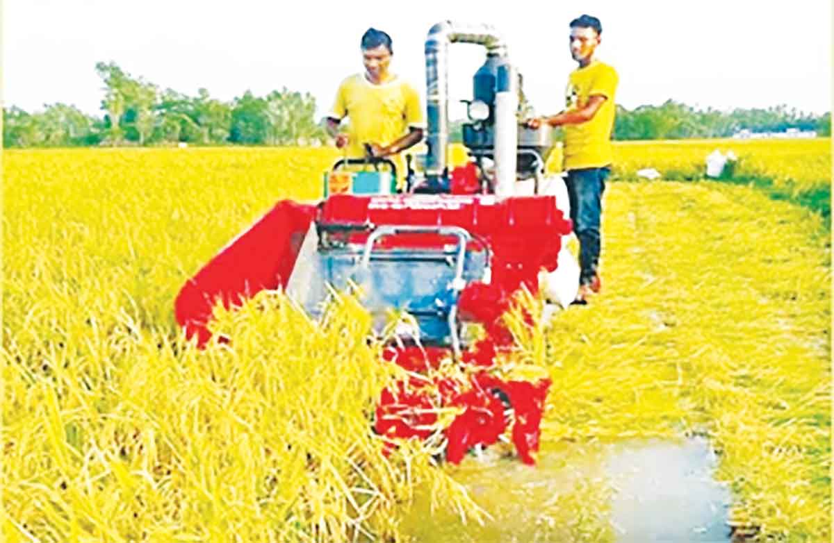 ৮ কর্মকর্তাকে বরখাস্ত করা হলেও অন্যরা বহাল তবিয়তে
