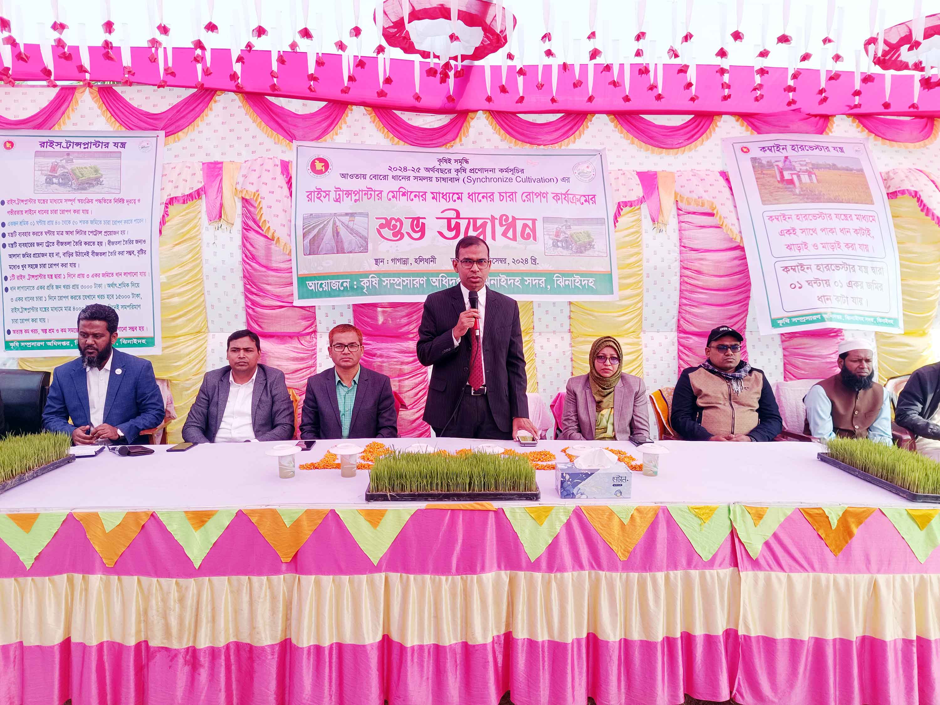 ঝিনাইদহে সমলয় পদ্ধতিতে ধান রোপণ উদ্বোধন