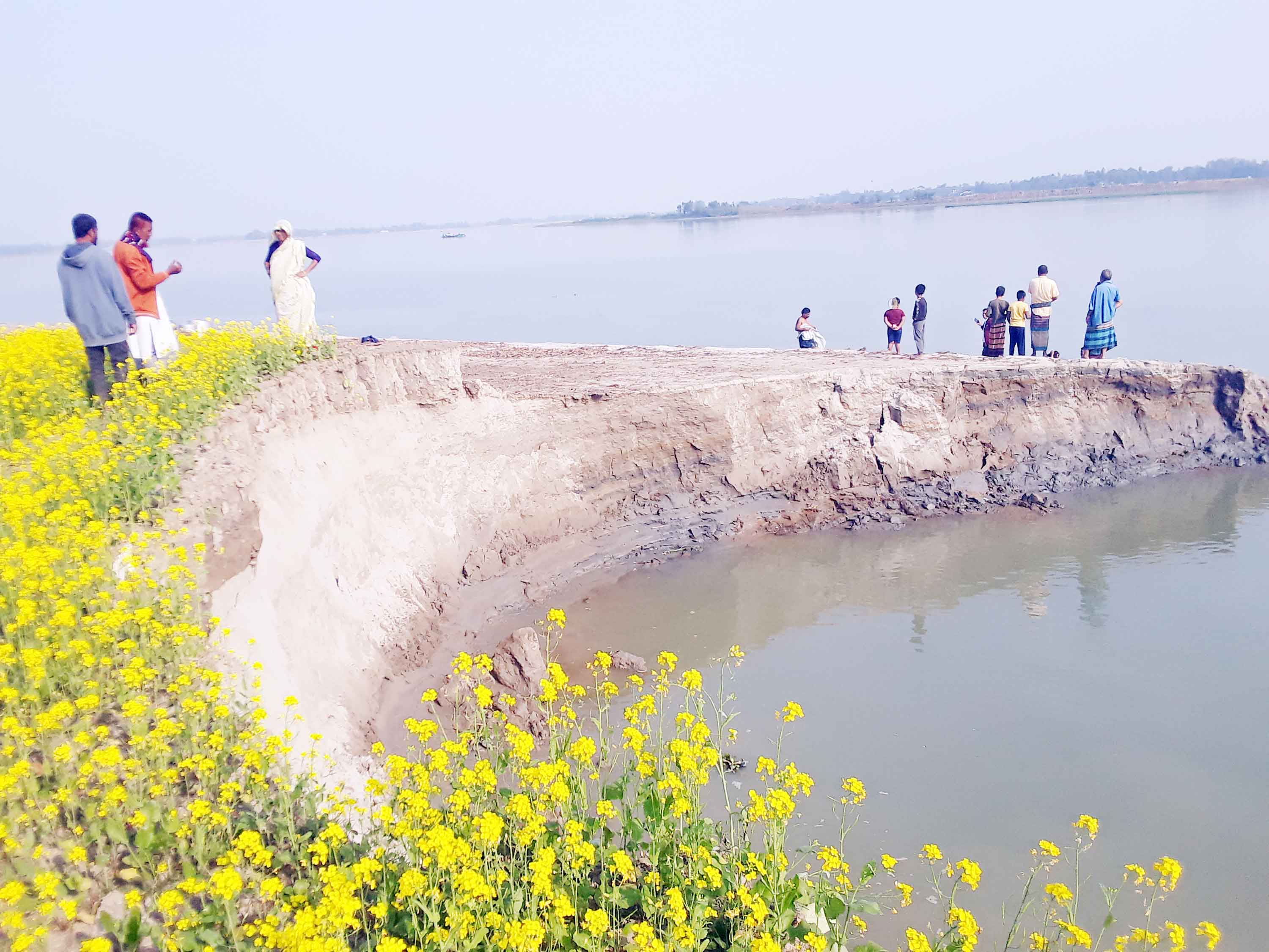 নরসিংদীতে বেড়িবাঁধ না থাকায় মেঘনা গিলে খাচ্ছে ফসলি জমি