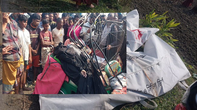 শেরপুরে বাস-সিএনজির মুখোমুখি সংঘর্ষে নিহত ৬