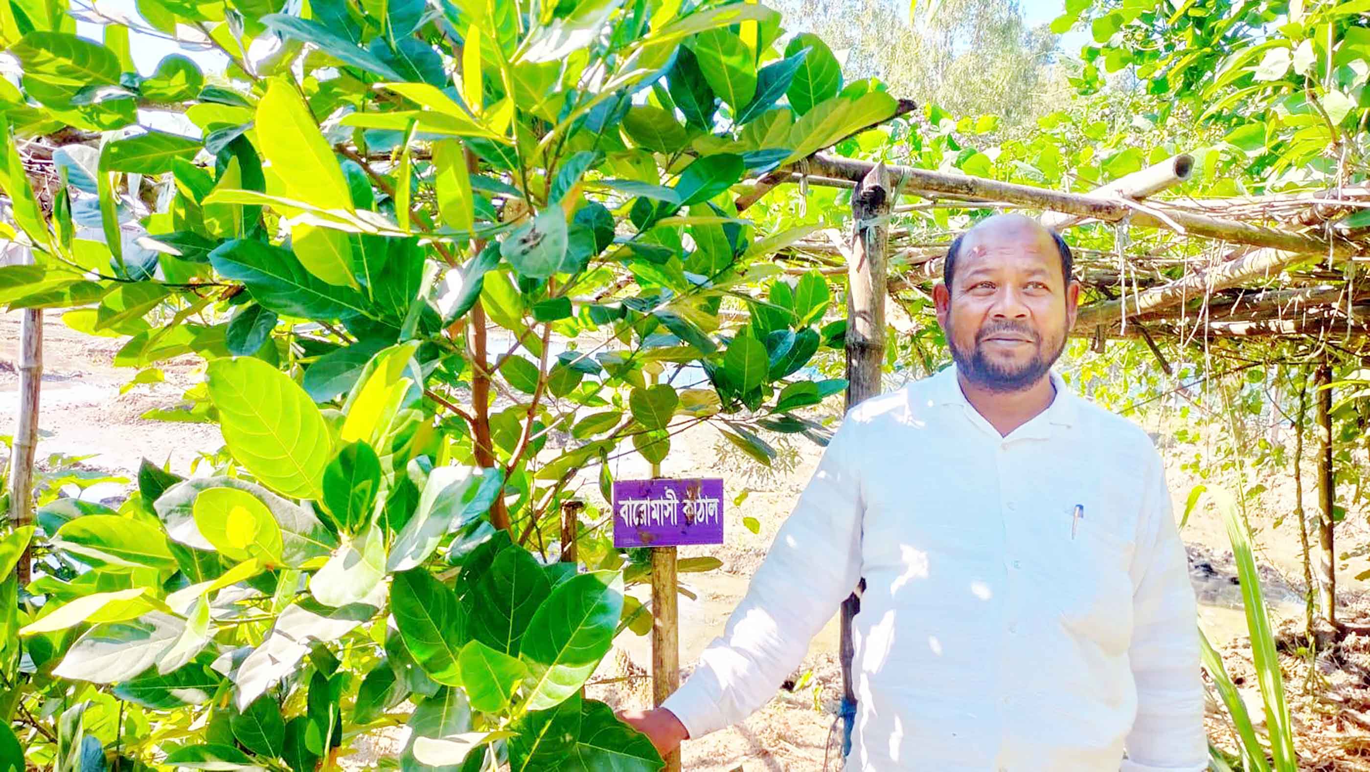 দিনাজপুরে এক ফসলি জমিকে তিন ফসলিতে রূপান্তর