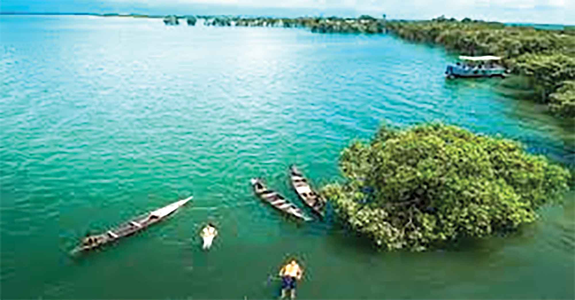 জানার আছে অনেক কিছু