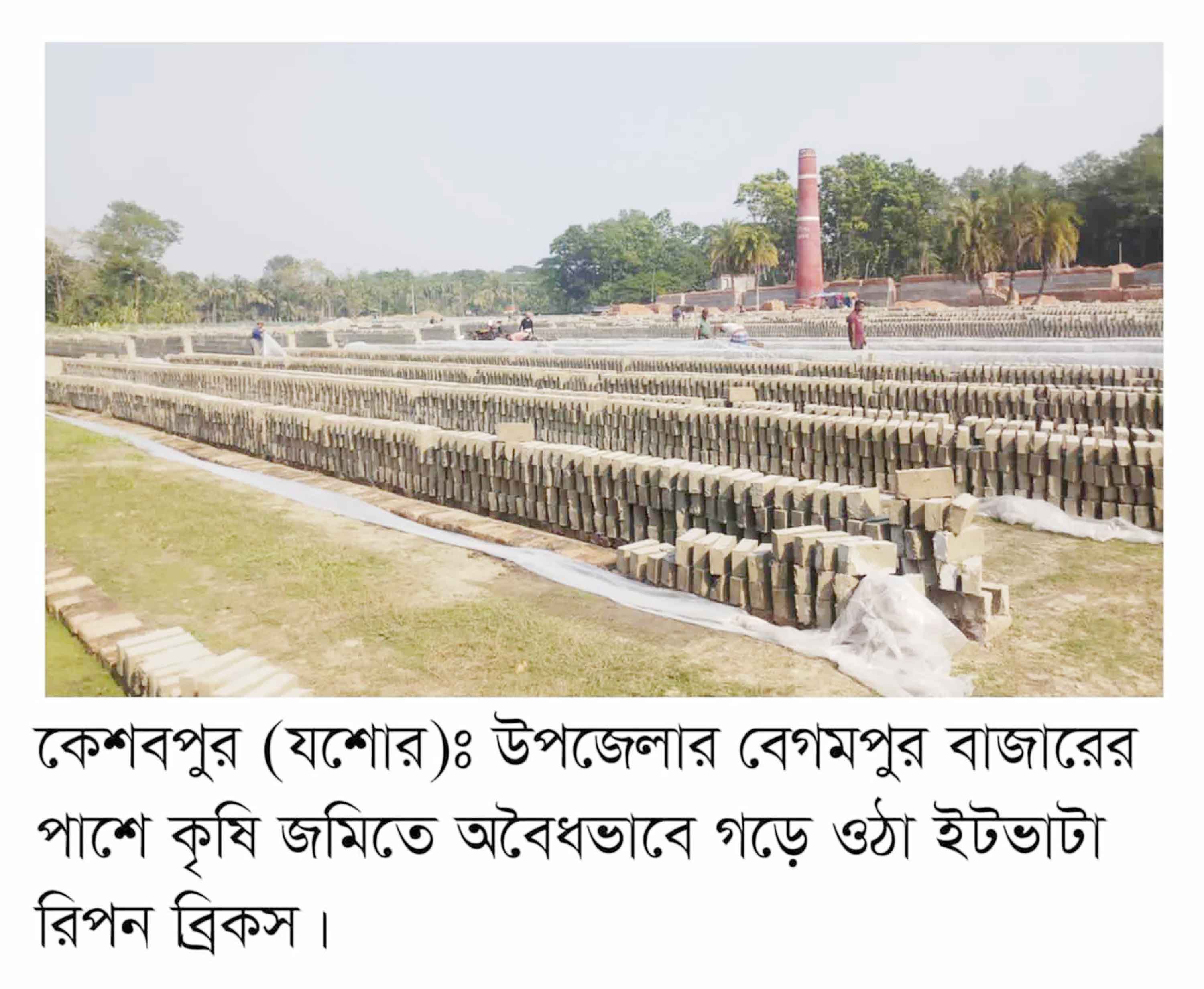 কেশবপুরে অবৈধ ১৩ ভাটায় ইট উৎপাদন শুরু