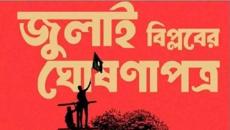 এই ঘোষণাপত্র পাঁচই অগাস্টেই হওয়া উচিত ছিল : হাসনাত আবদুল্লাহ