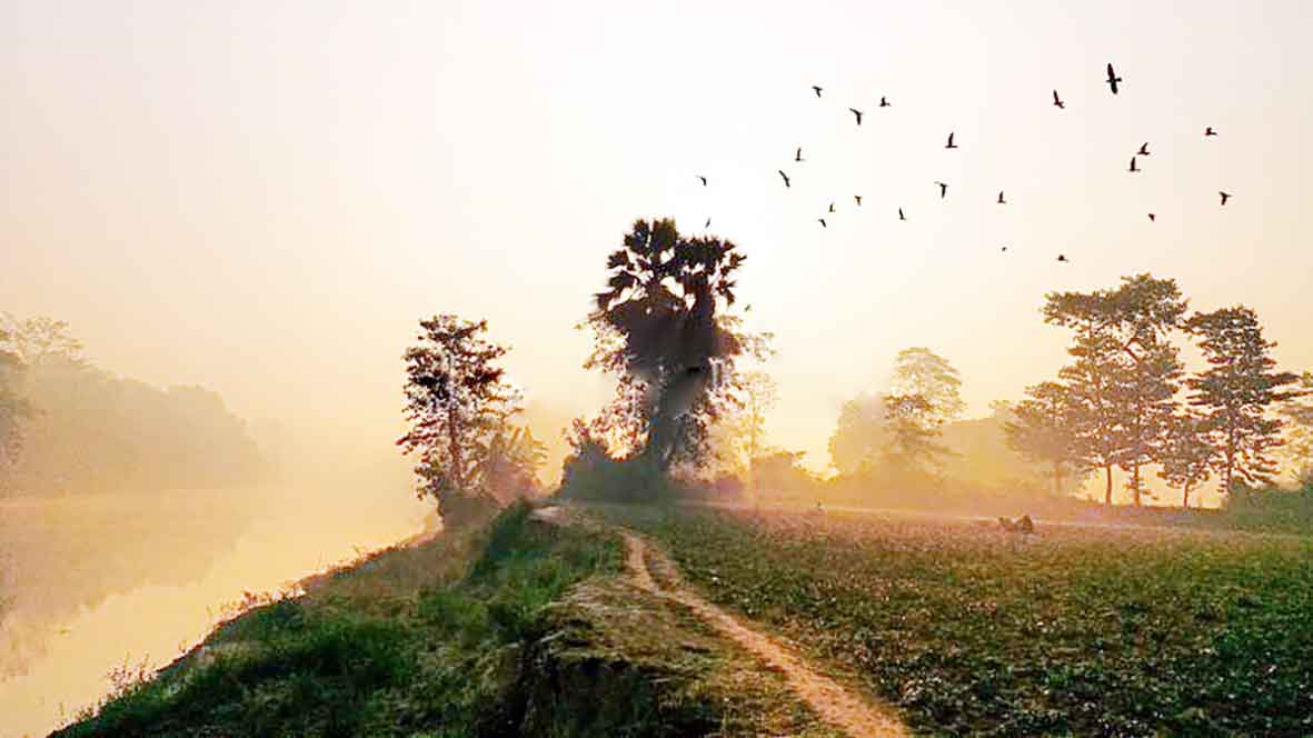 নতুন বছরে কল্যাণময় হোক আমাদের পথচলা