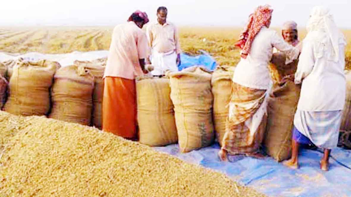 সংগ্রহ অভিযানে চালে সাড়া মিললেও ধানে অনাগ্রহ