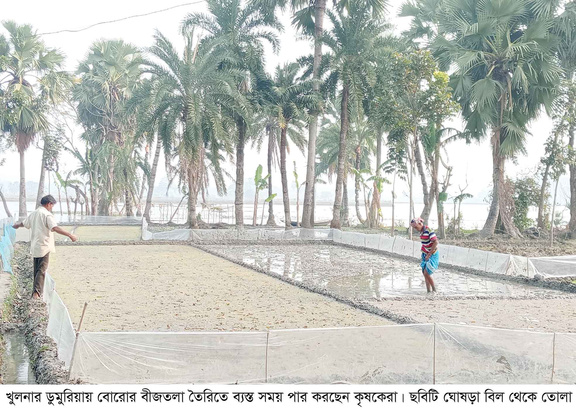 ডুমুরিয়ায় জলাবদ্ধতায় ব্যাহত হতে পারে ৭শ' হেক্টর জমির আবাদ