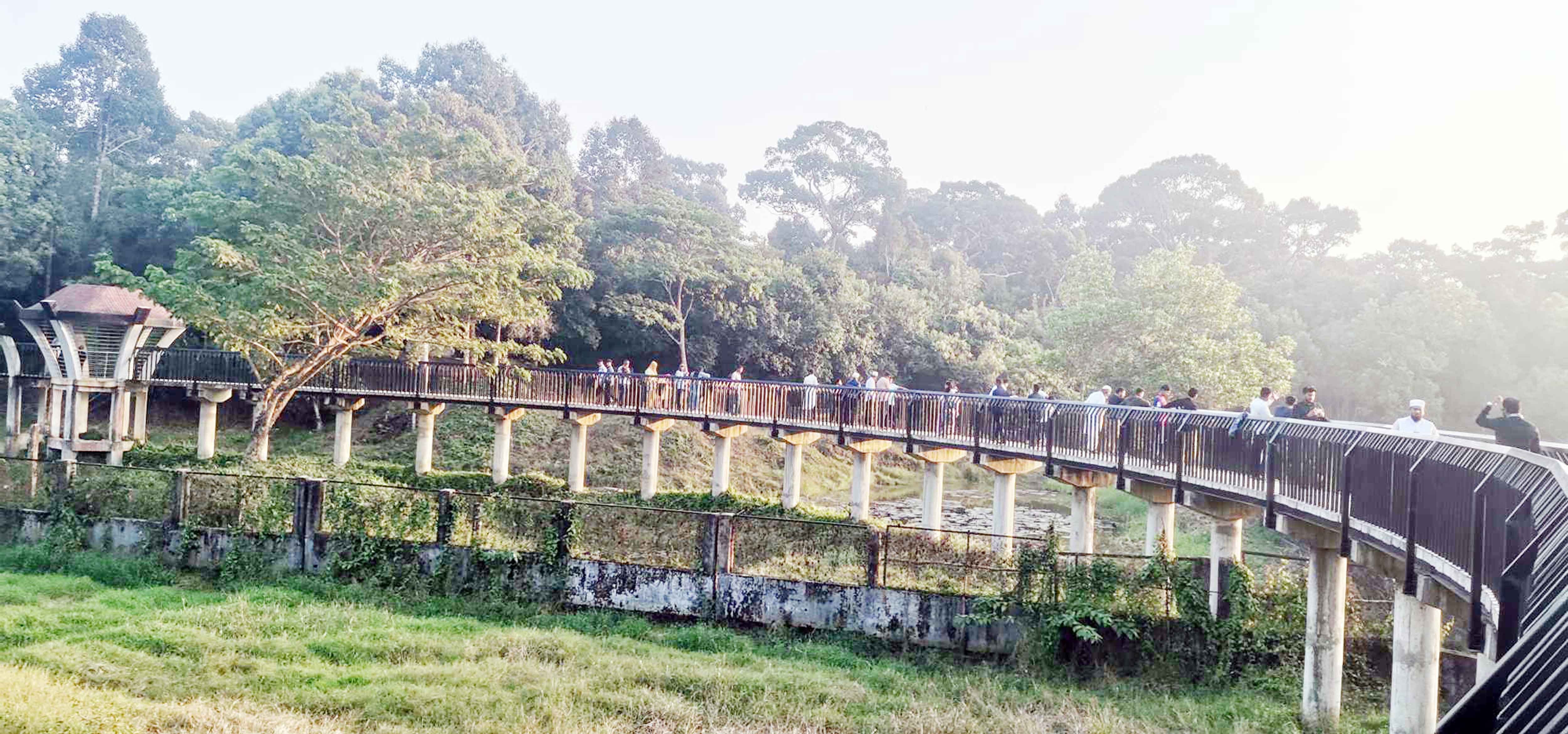 পর্যটকে মুখর চকরিয়া ডুলাহাজারা সাফারি পার্ক