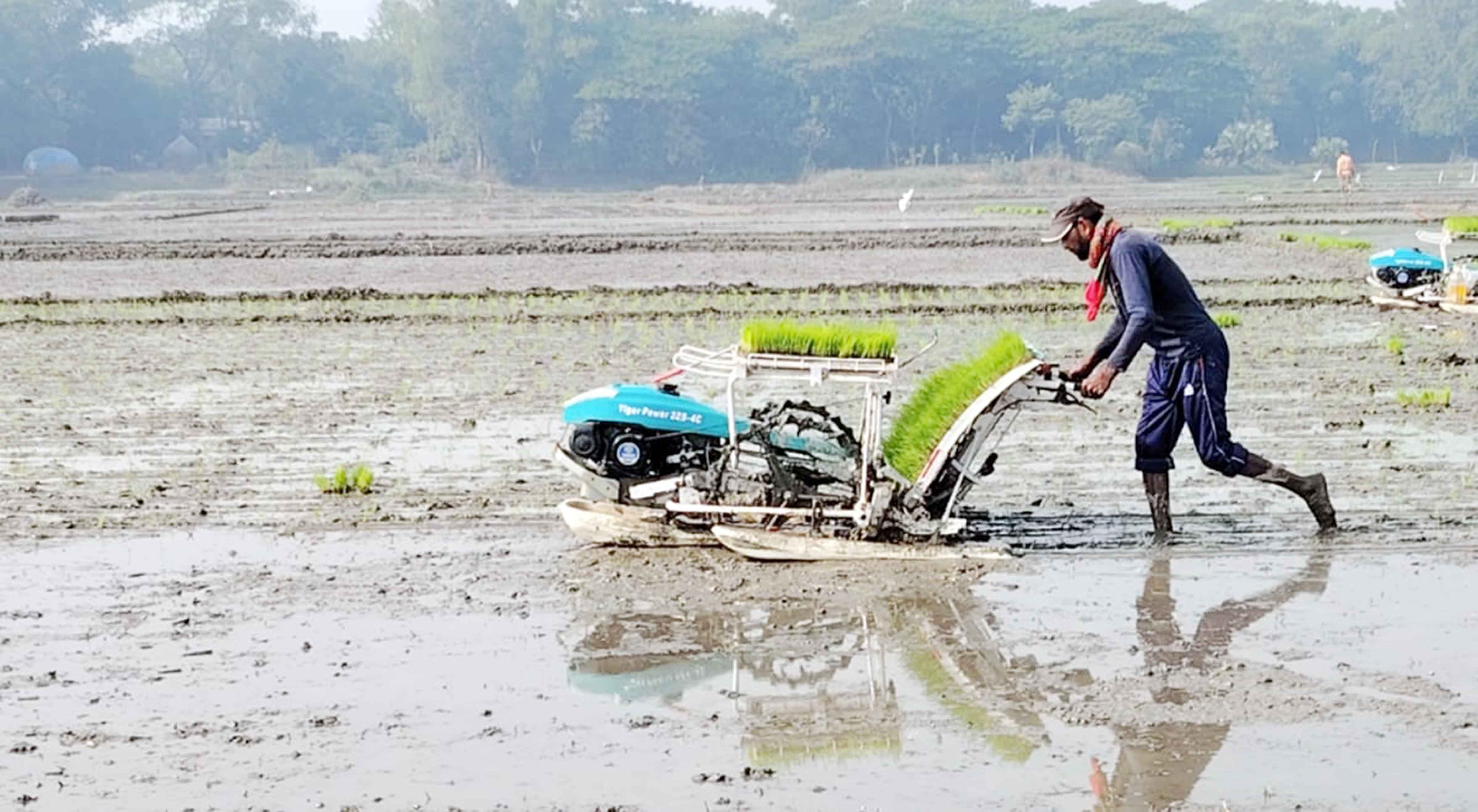 কৃষকের আশার আলো কালীগঞ্জে 'সমলয়' পদ্ধতিতে বোরো চাষে বাড়ছে আগ্রহ