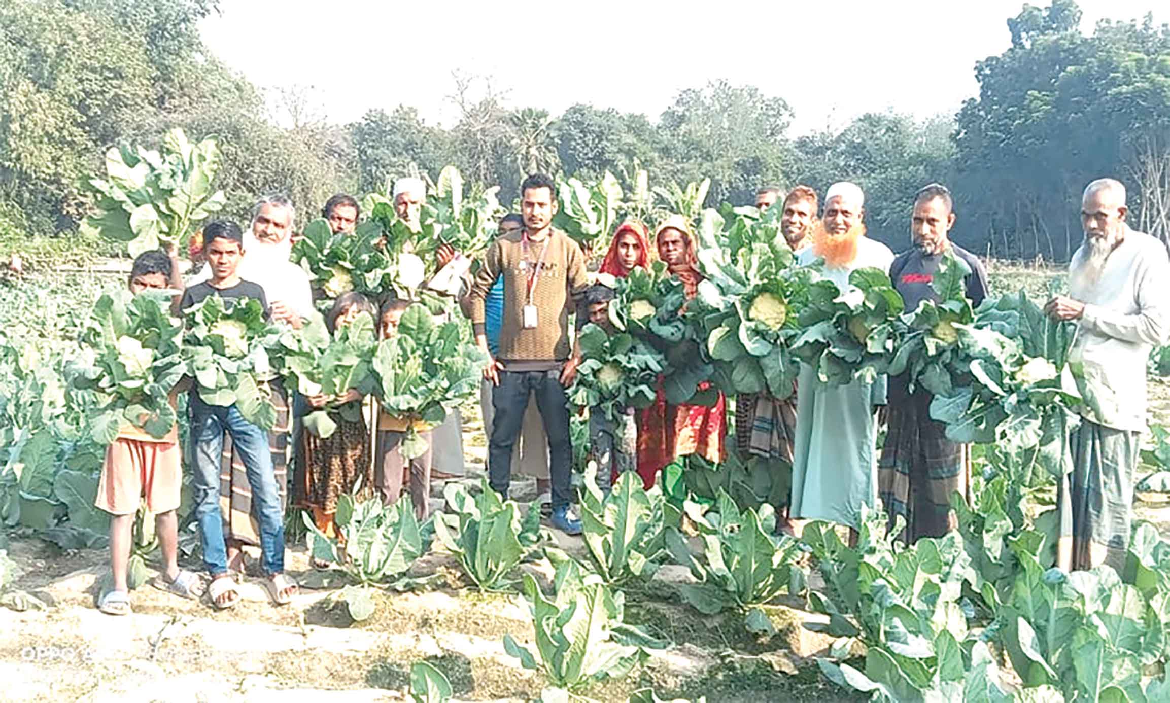 মেহেরপুর ও রাজবাড়ীর পর নওগাঁর কৃষকের পাশে 'স্বপ্ন'