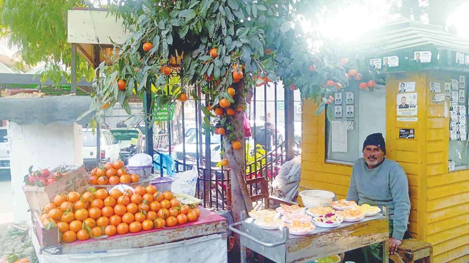 ফল বিক্রেতার নান্দনিক সৃষ্টিশীলতায় মুগ্ধ সবাই