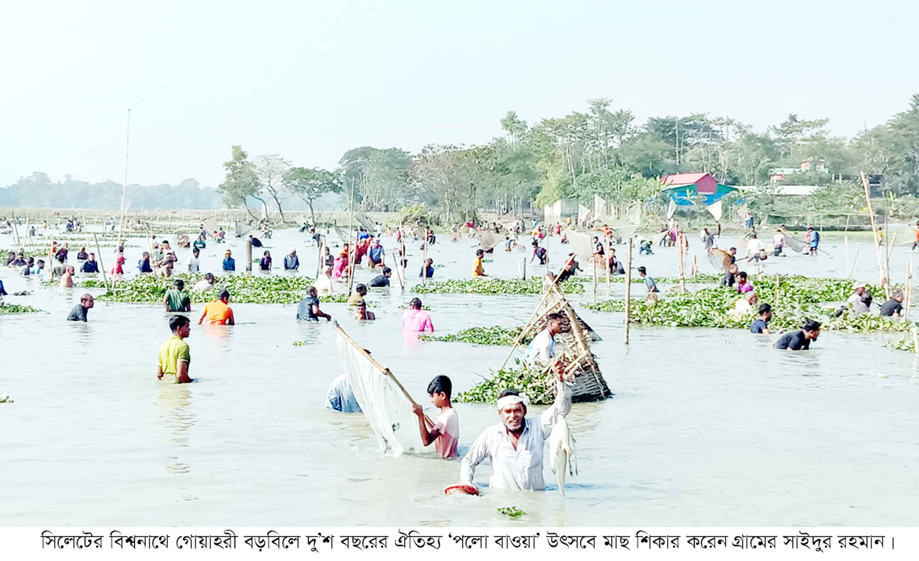 ঐতিহ্যের মাছ ধরার 'পলো বাওয়া' উৎসব উদযাপন