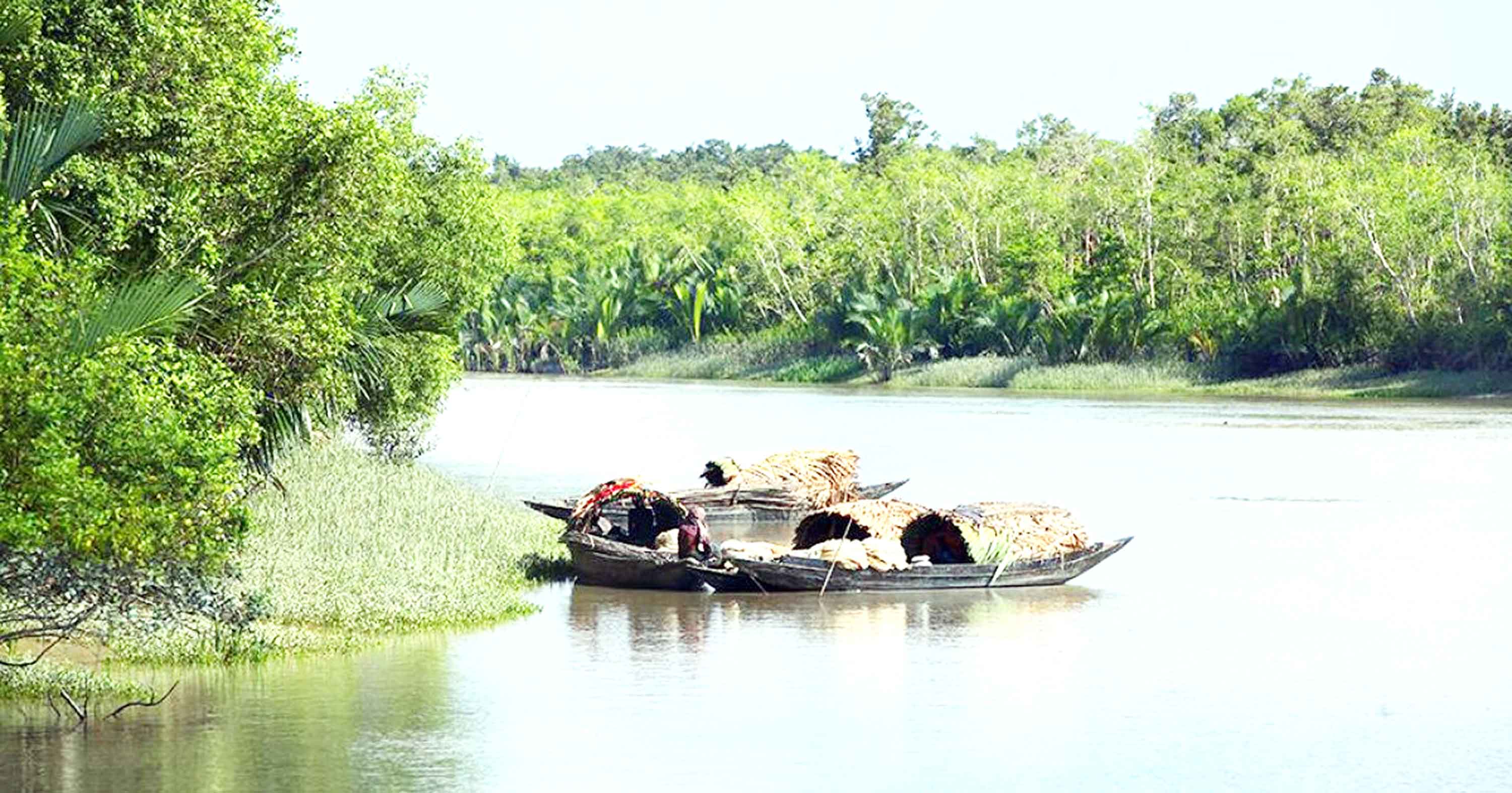 সুন্দরবন-দপ্তর গঠন জরুরি