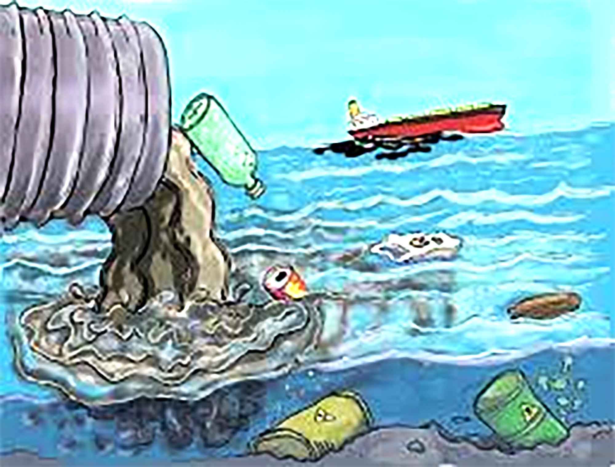 পঞ্চম শ্রেণির বিজ্ঞান