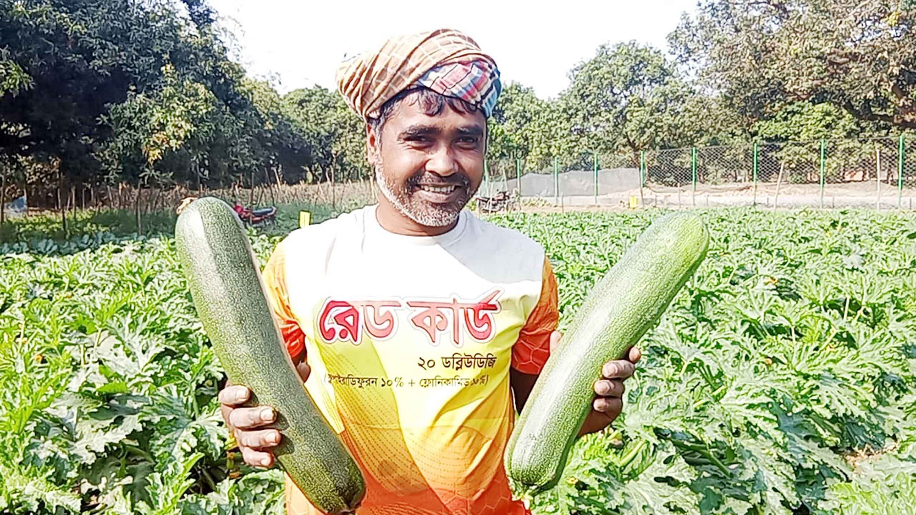 স্বপ্ন দেখাচ্ছে বিদেশি সবজি স্কোয়াশ
