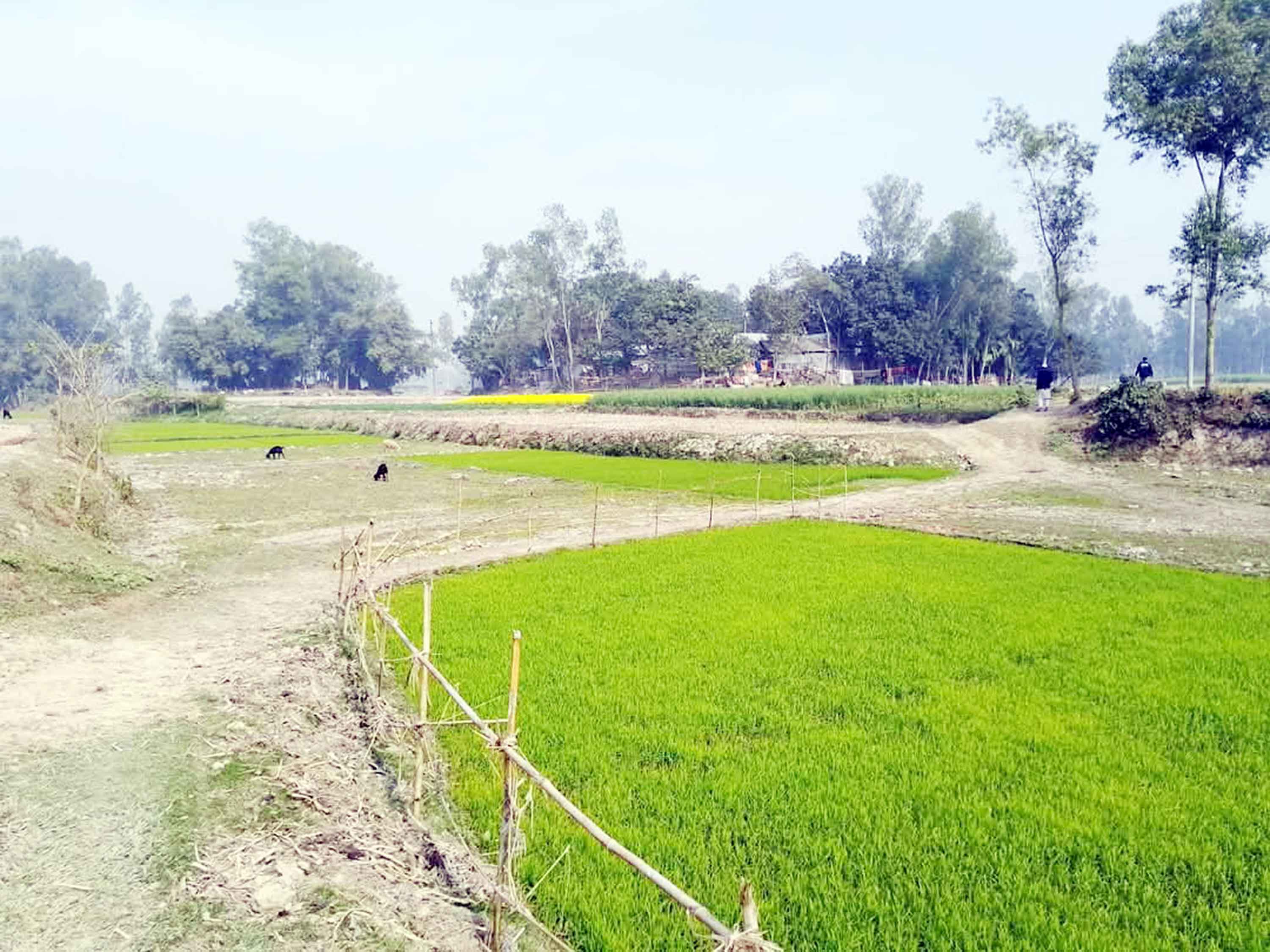 রায়গঞ্জে অবহেলিত খালের ওপর সেতু নির্মাণের দাবি