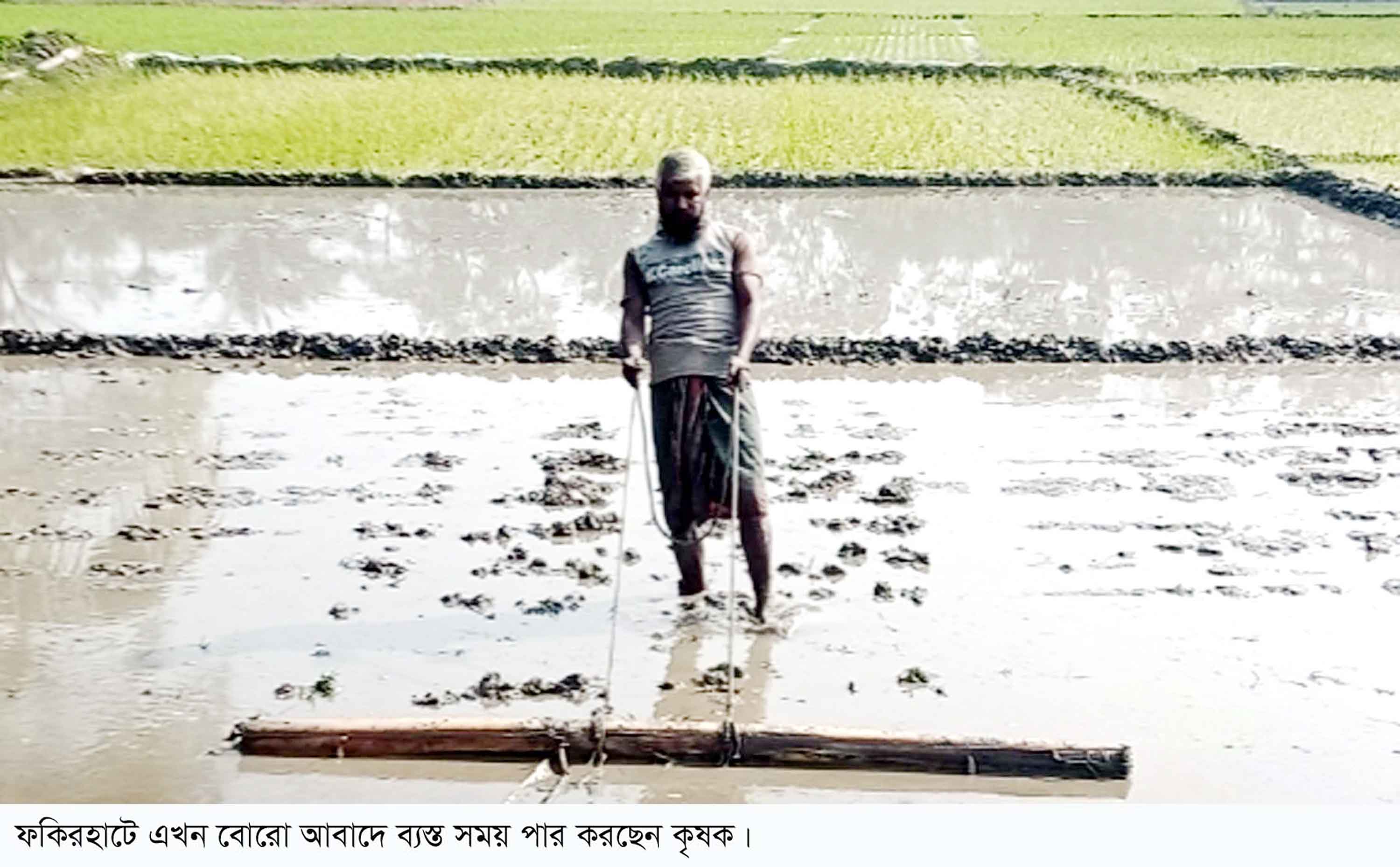 ফকিরহাটে বোরো আবাদে ব্যস্ত কৃষক
