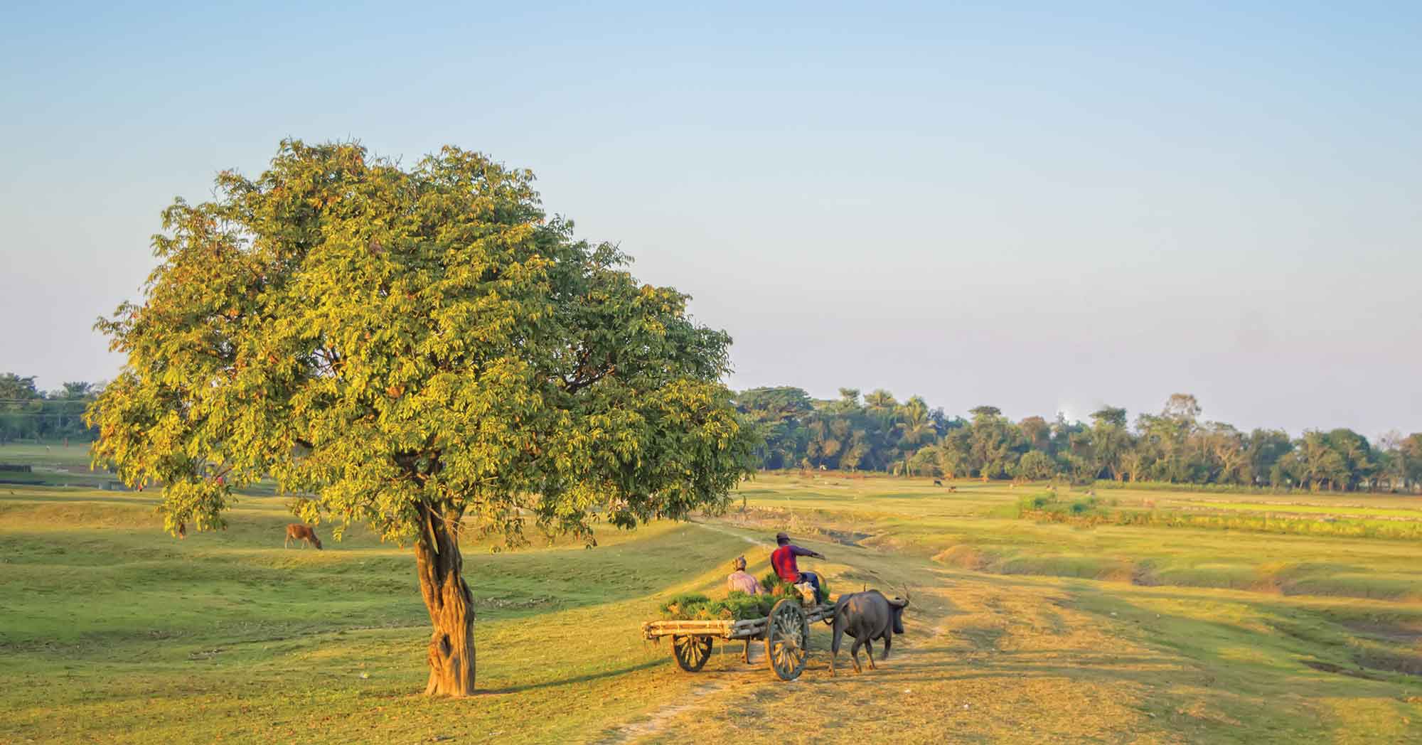 এসএসসি পরীক্ষার প্রস্তুতি