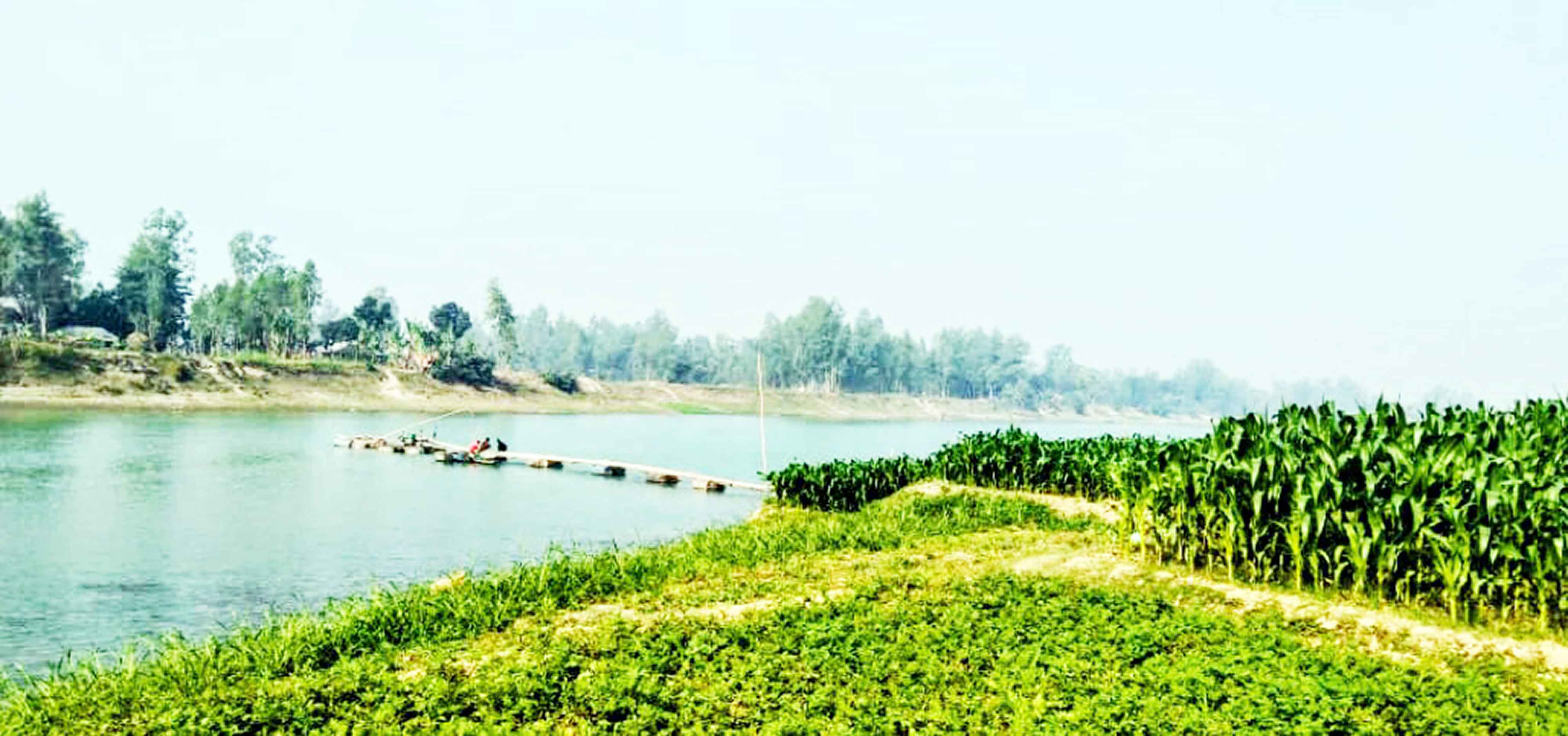 বর্ষায় বাঙ্গালী নদীতে তীব্র ভাঙনের আশঙ্কা