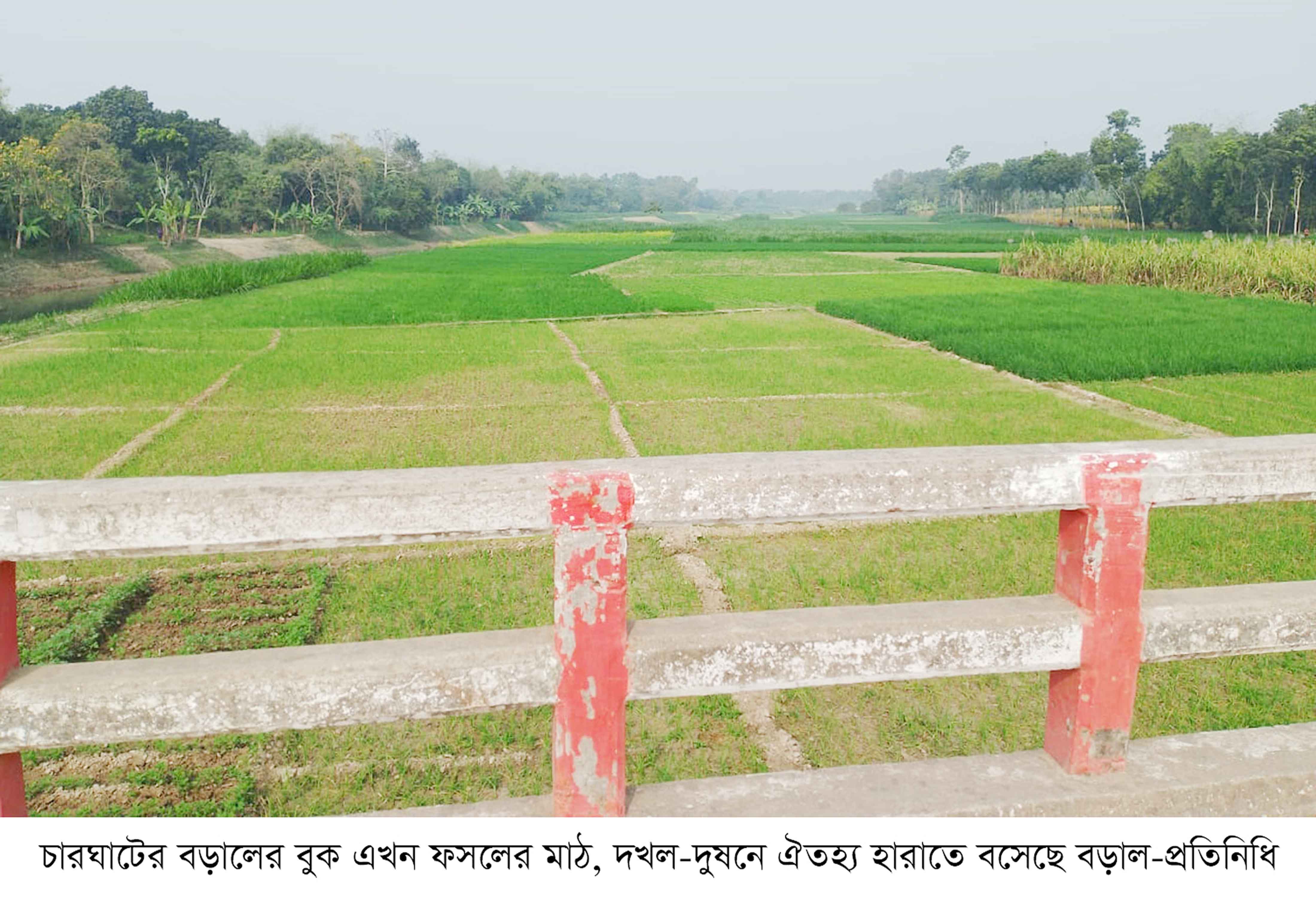 চারঘাটে দখল-দুষণে ঐতিহ্য হারাতে বসেছে বড়াল