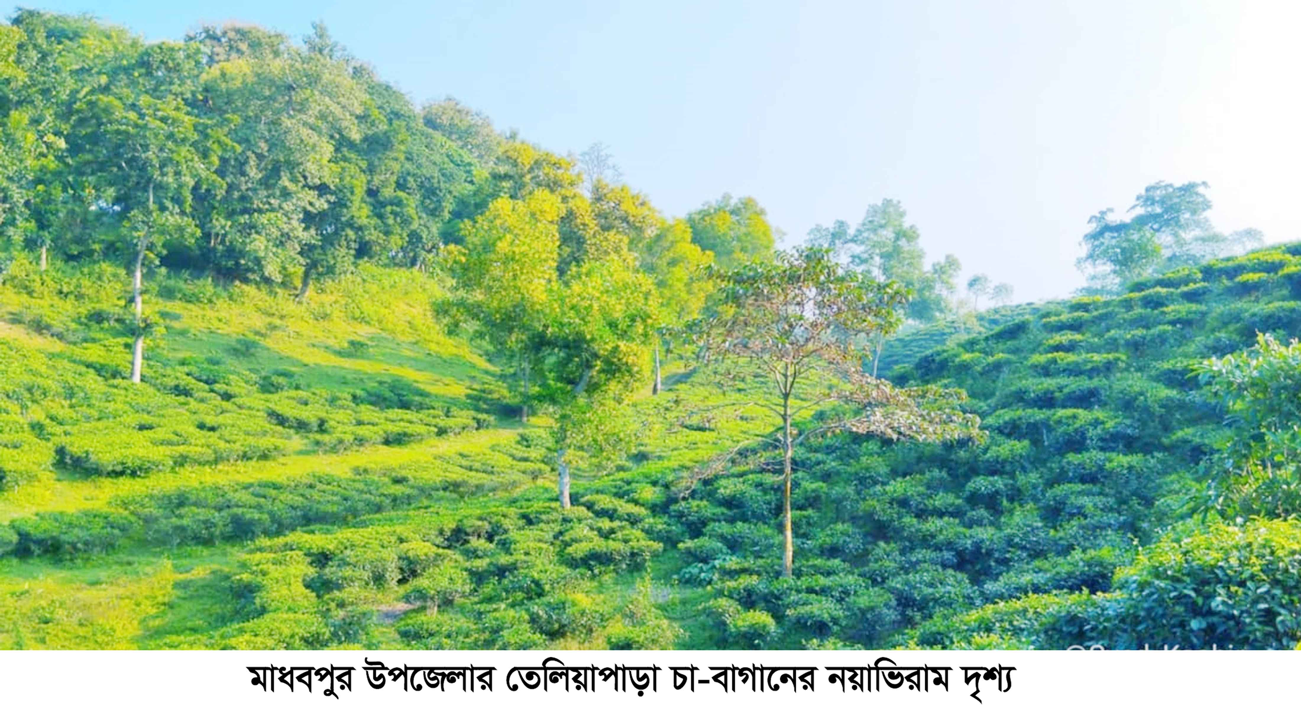 পর্যটনের অপার সম্ভাবনা মাধবপুর