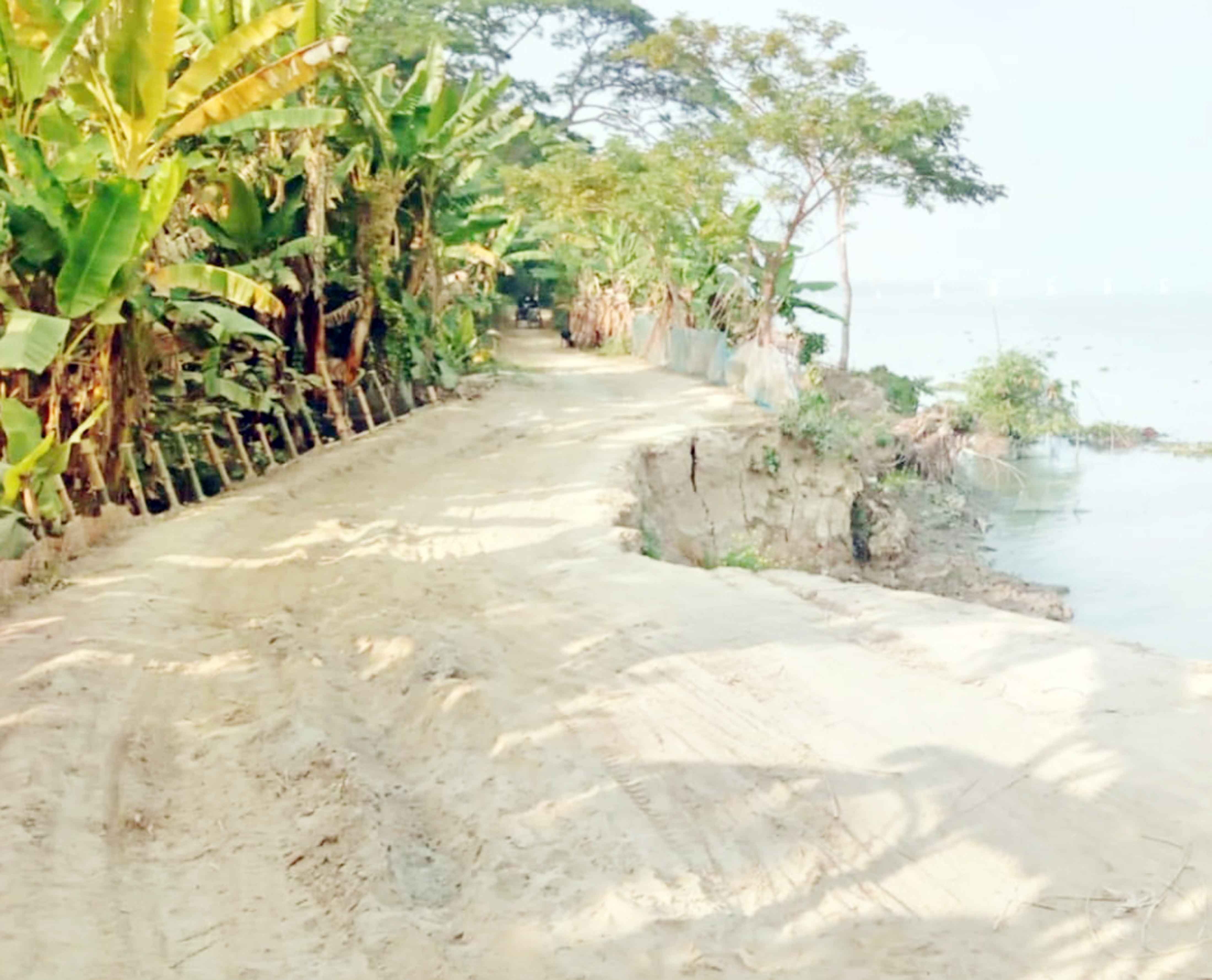 লোহাগড়ায় মধুমতীর ভাঙ্গনে তিন গ্রামের প্রবেশের রাস্তা বিলীন