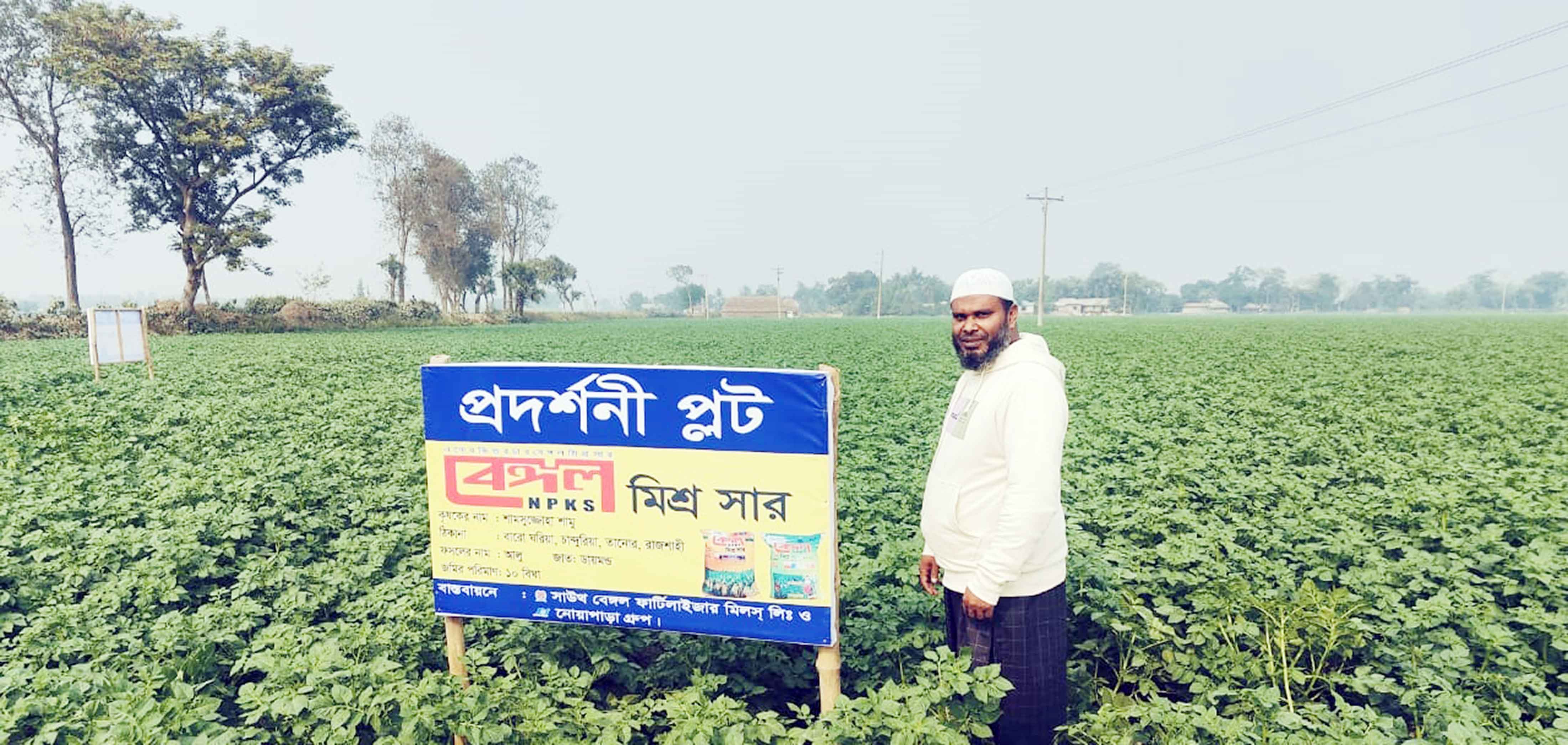 আলু চাষে বাম্পার ফলনের সম্ভাবনা