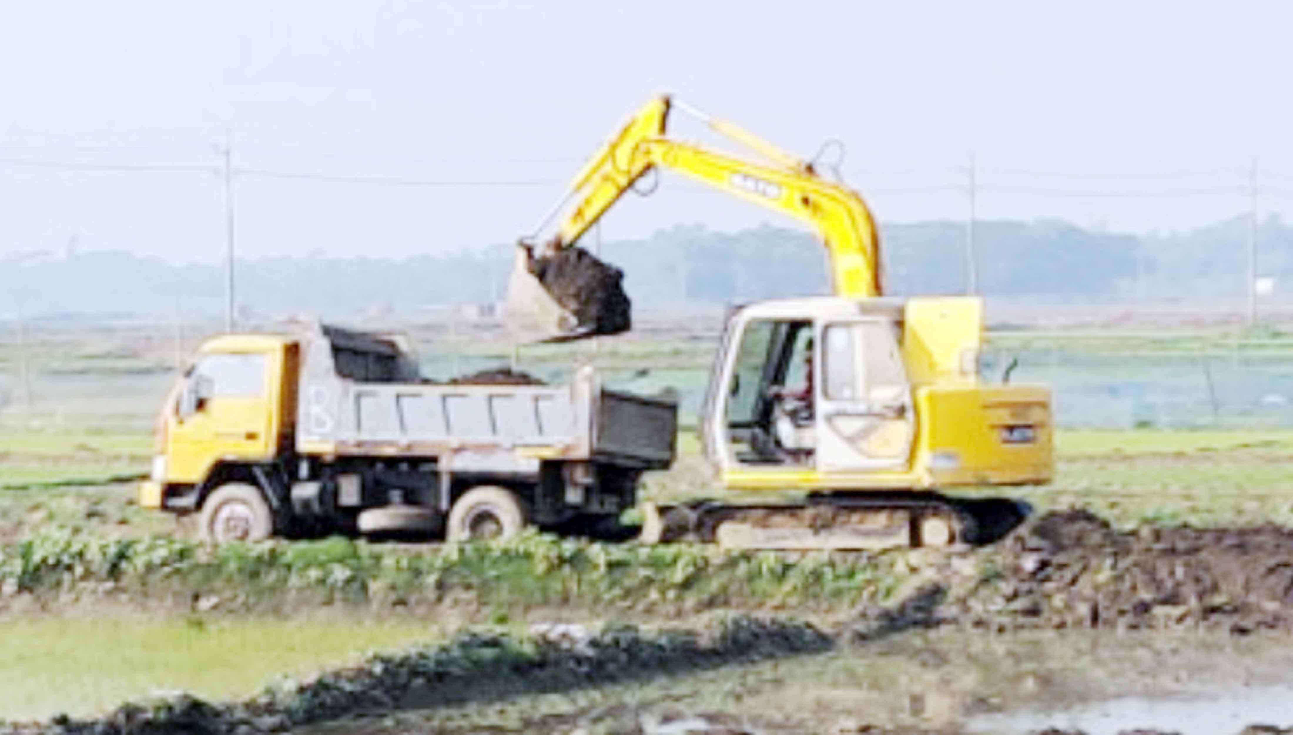 চাঁদপুরে টপ সয়েল বিক্রির হিড়িক প্রভাব পড়ছে ফসল উৎপাদনে