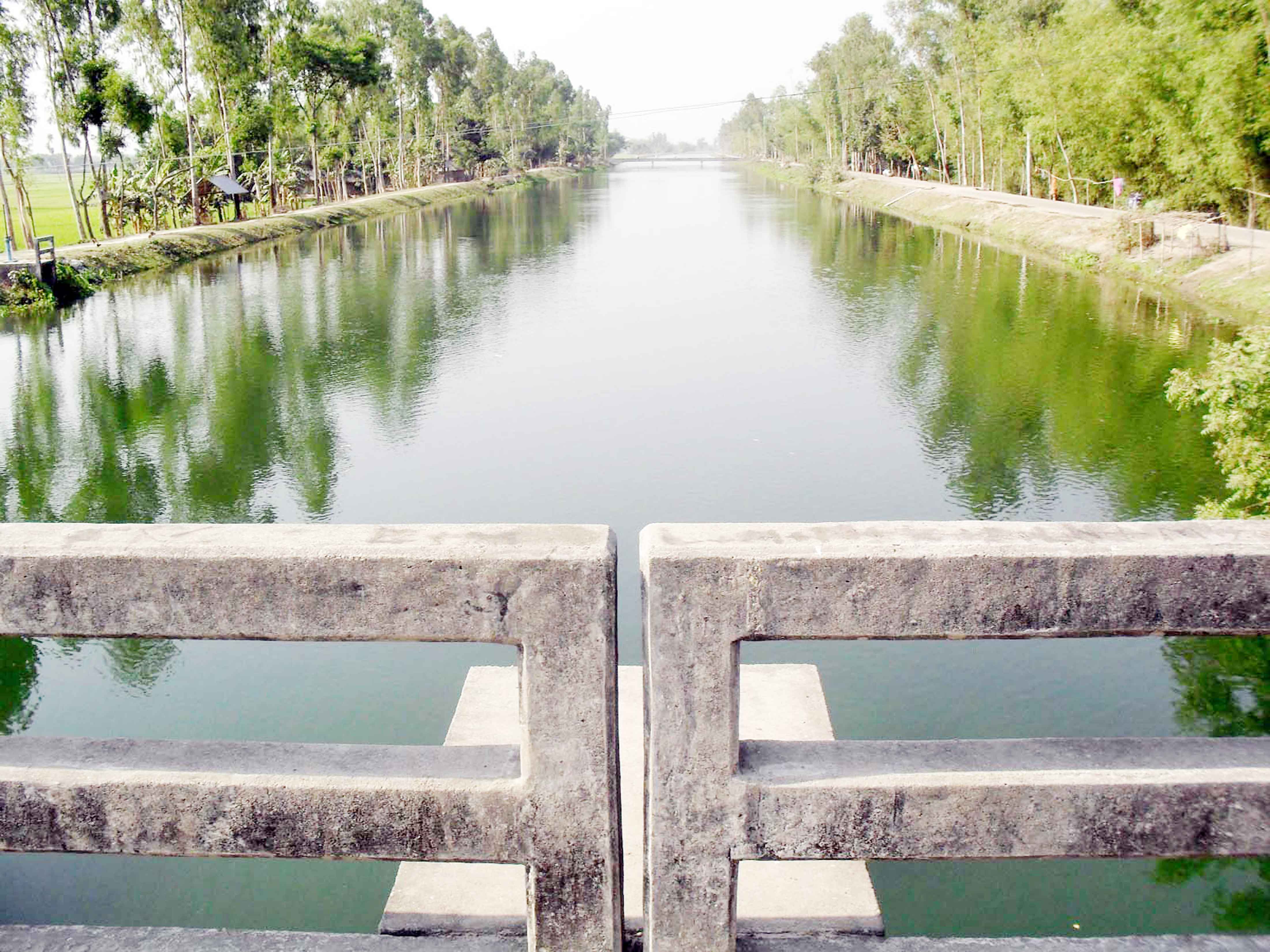 তিস্তা সেচখালের পানিতে উৎপাদন হবে প্রায় ২৩ লাখ মেট্রিক টন চাল