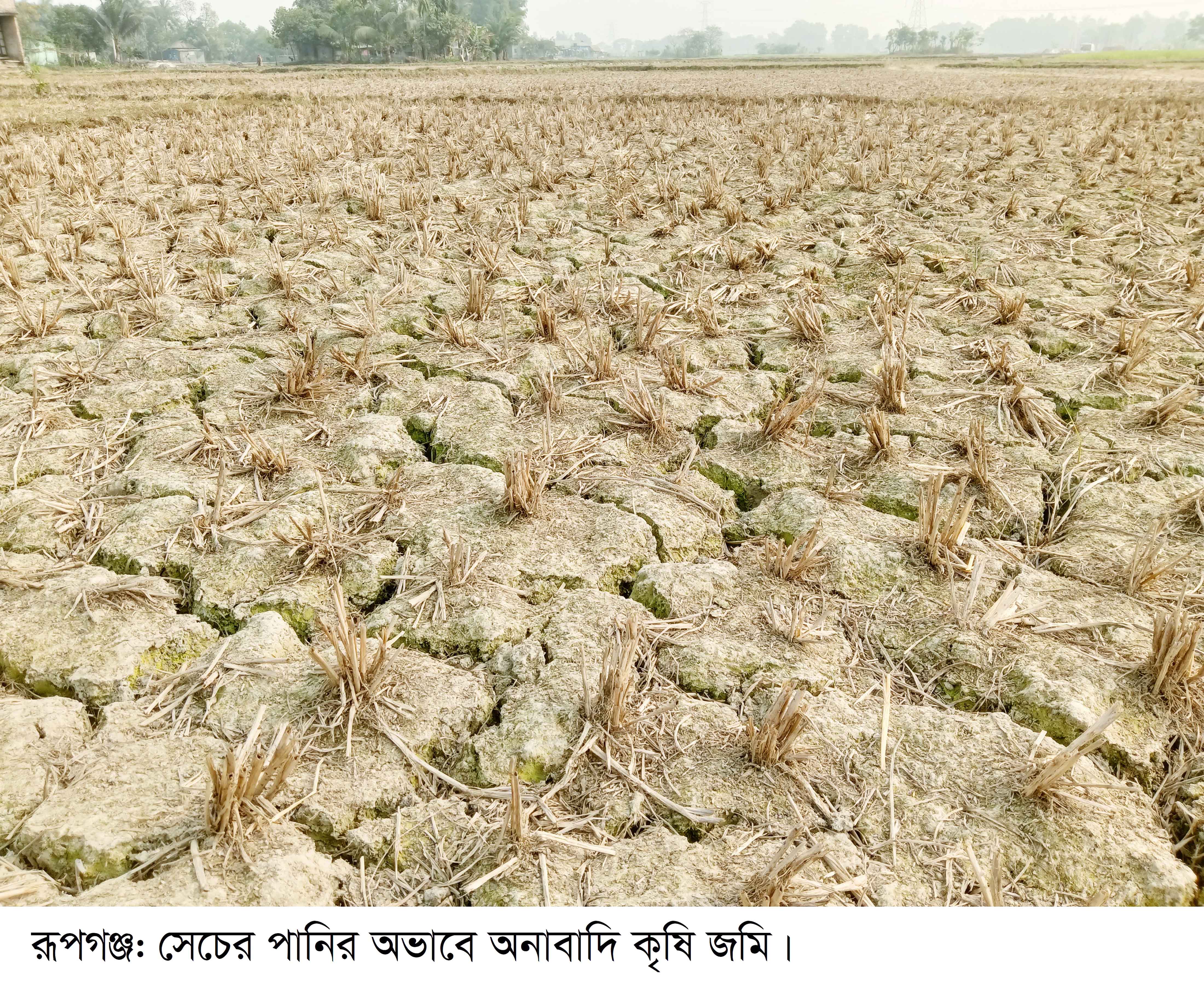 পাউবো'র উদাসীনতায় রূপগঞ্জে ২৫শ'হেক্টর জমি অনাবাদি
