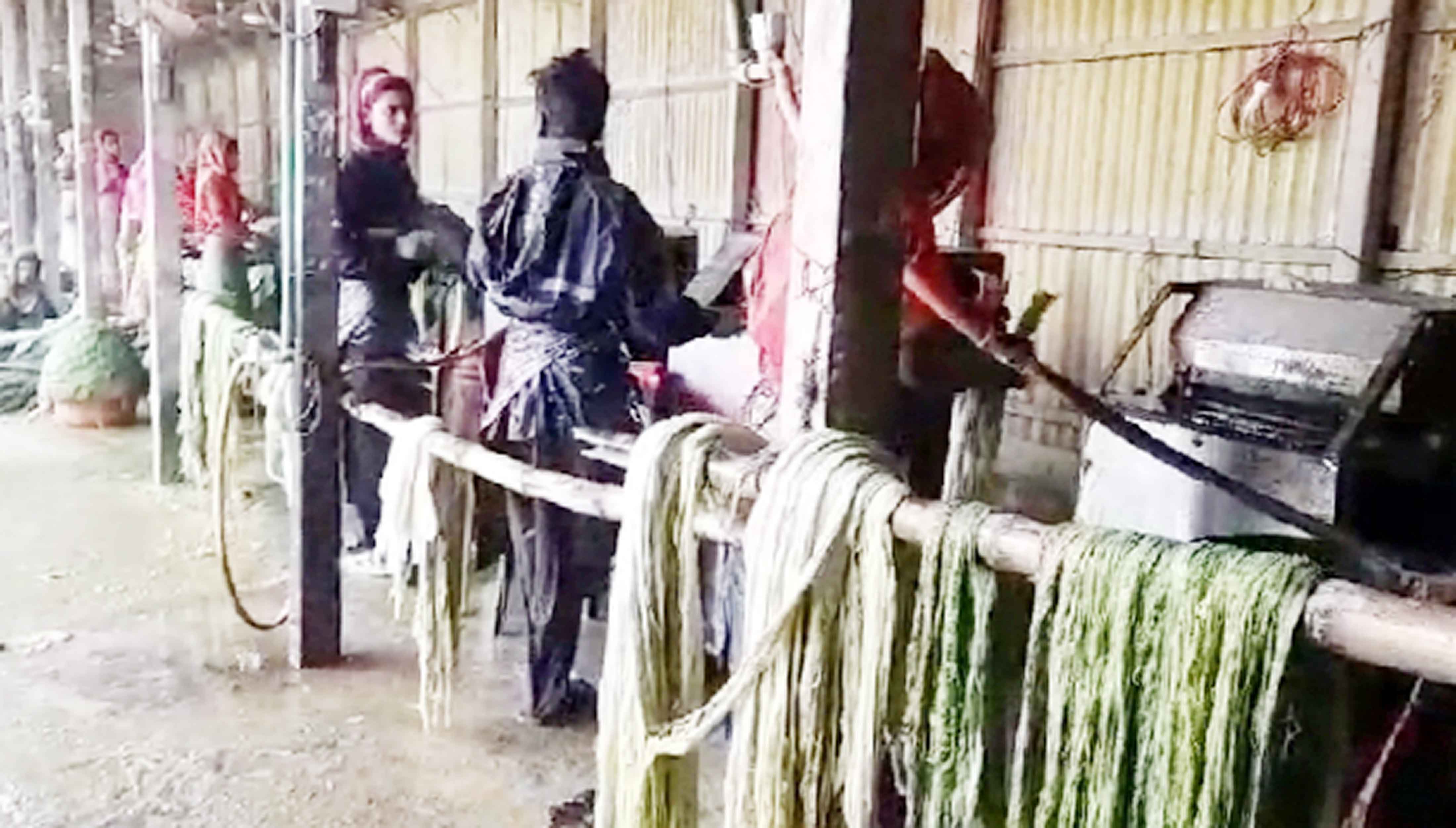 মধুপুরে আনারসের পরিত্যক্ত পাতায় উন্নতমানের ফাইবার